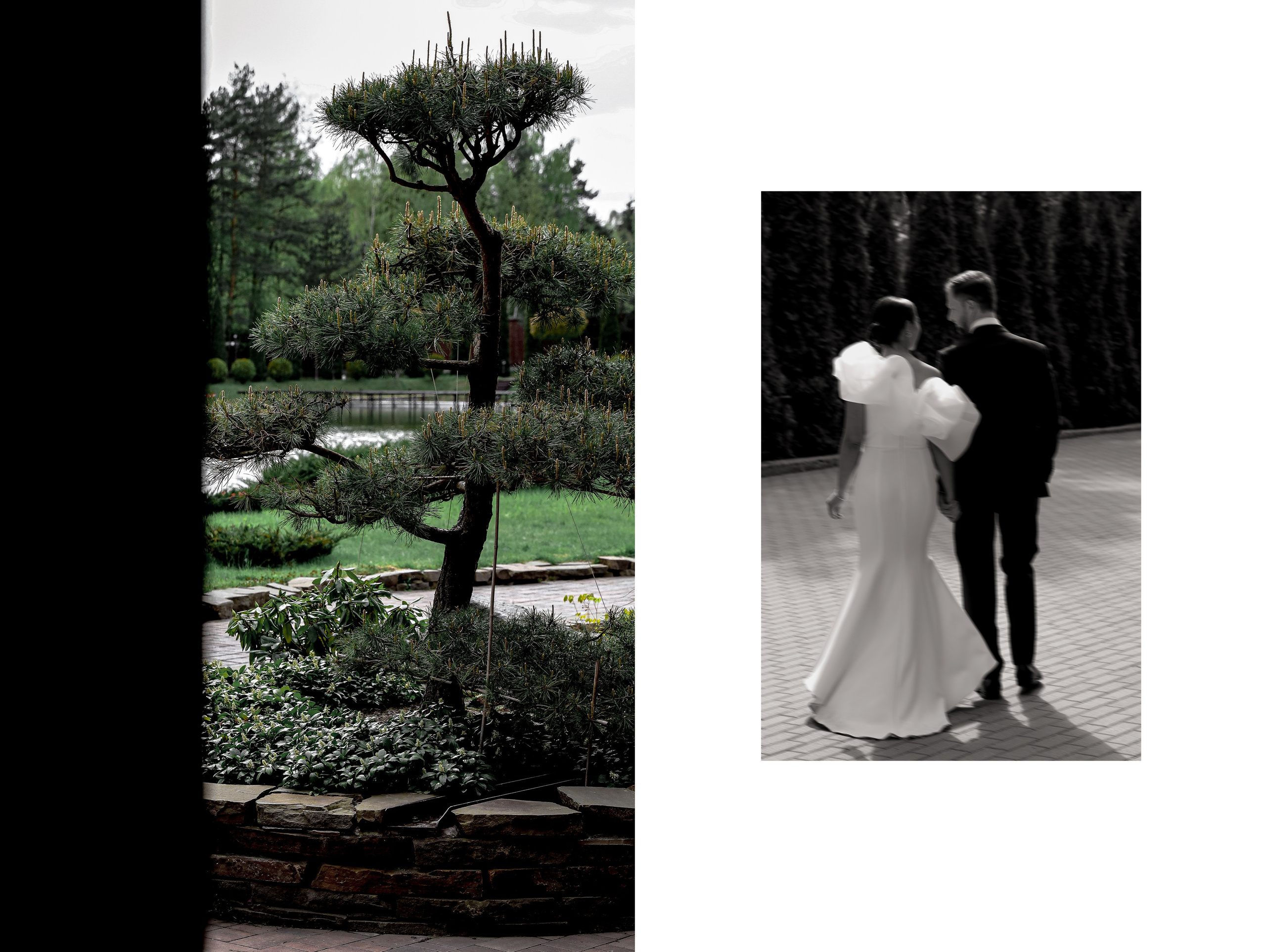 Portfolio. Anastasia Jes | Свадебный фотограф