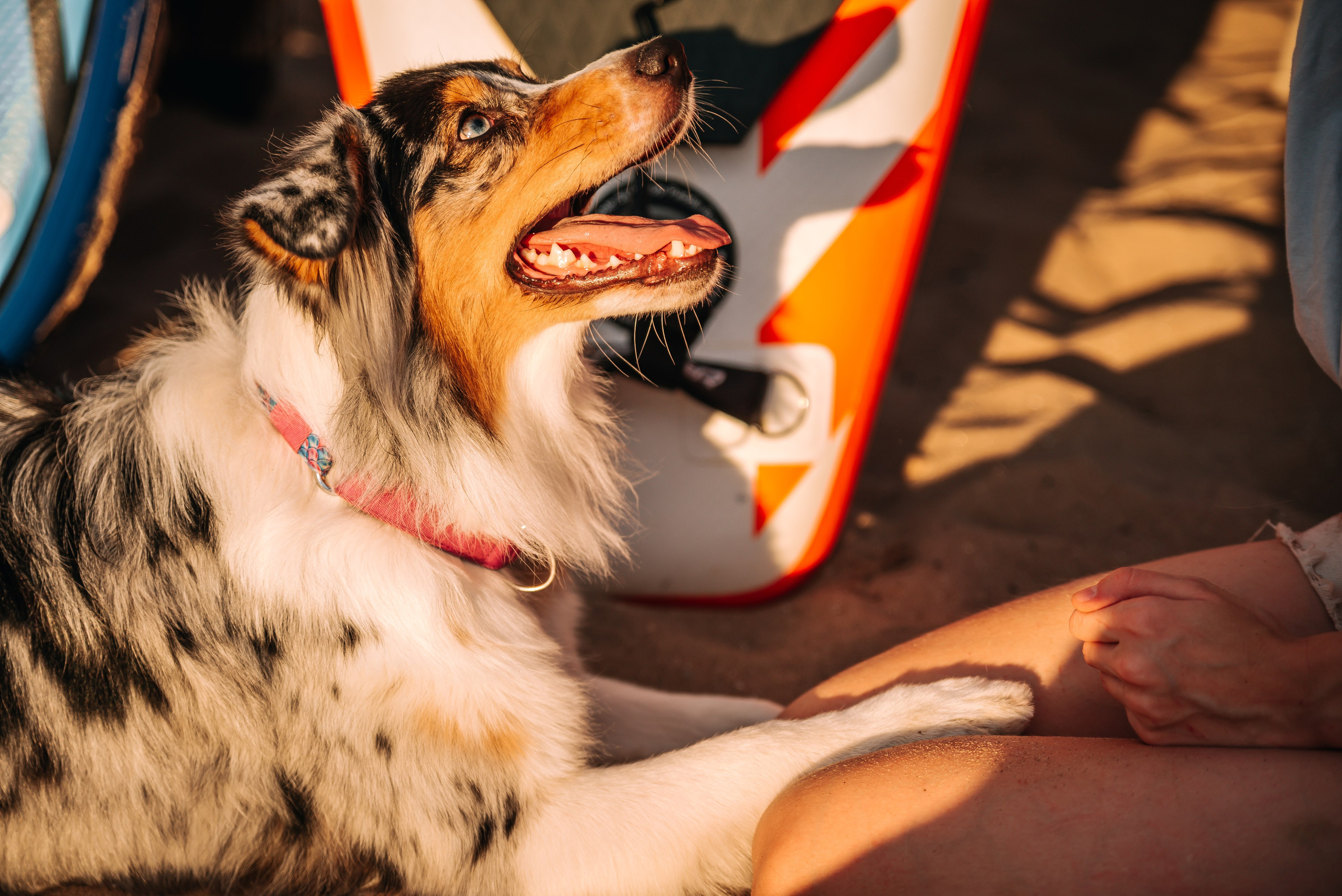 No Bad Days. Главная