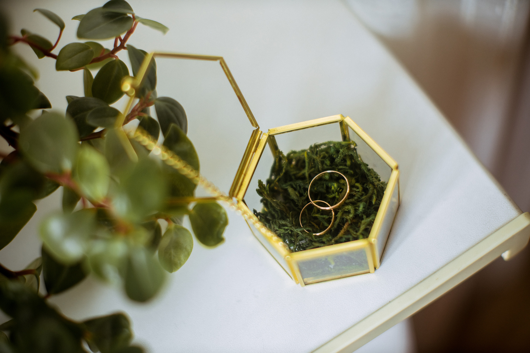 Михаил и Екатерина. Фотографы в городе Волгограде — Людмила Агеева и Алексей Околелов