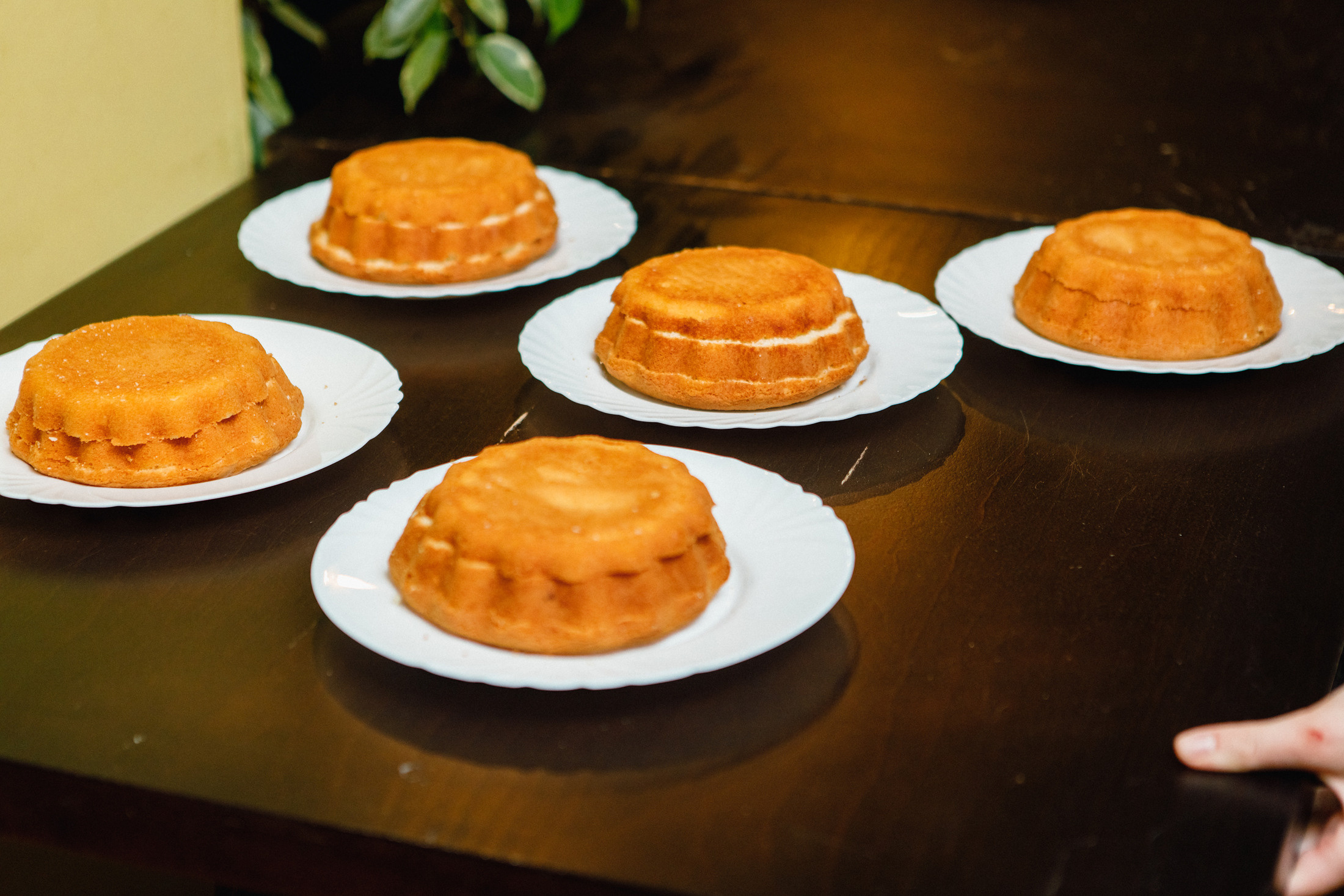 Алина 11 лет. Кафе «Четыре сыра». Фотографы в городе Волгограде — Людмила Агеева и Алексей Околелов