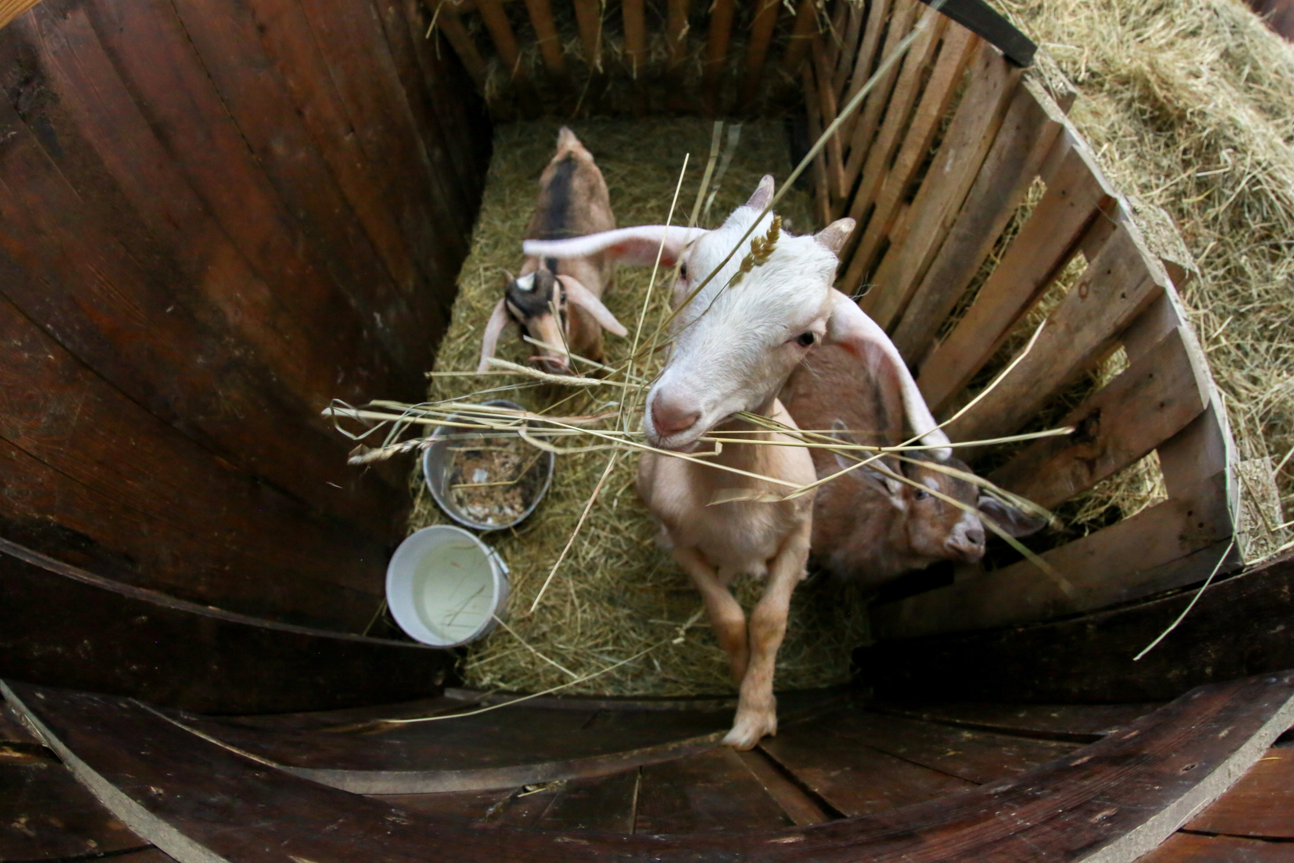 Природа. Трандин Иван Фотограф СПб