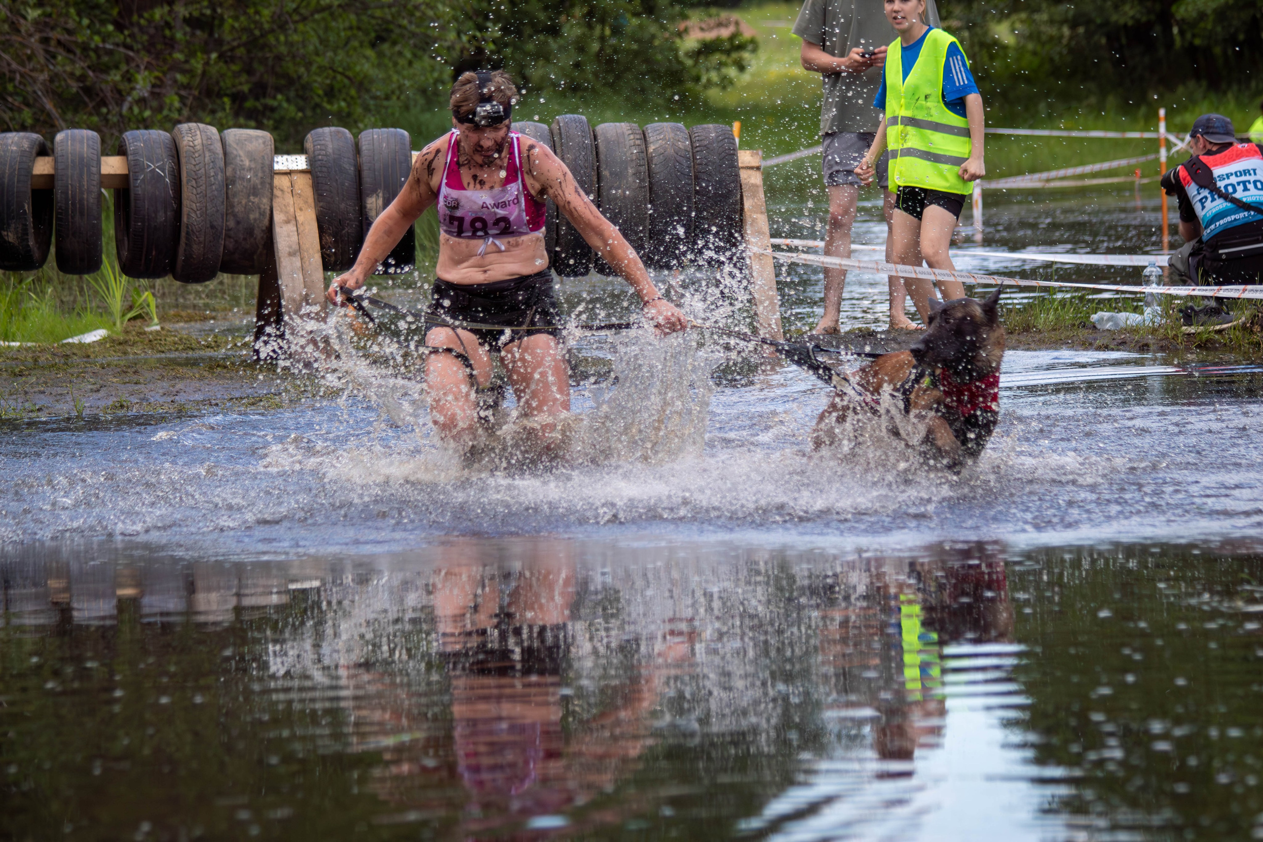 Хвостатый Драйв 2024. Фотограф анималист — Тула, Москва