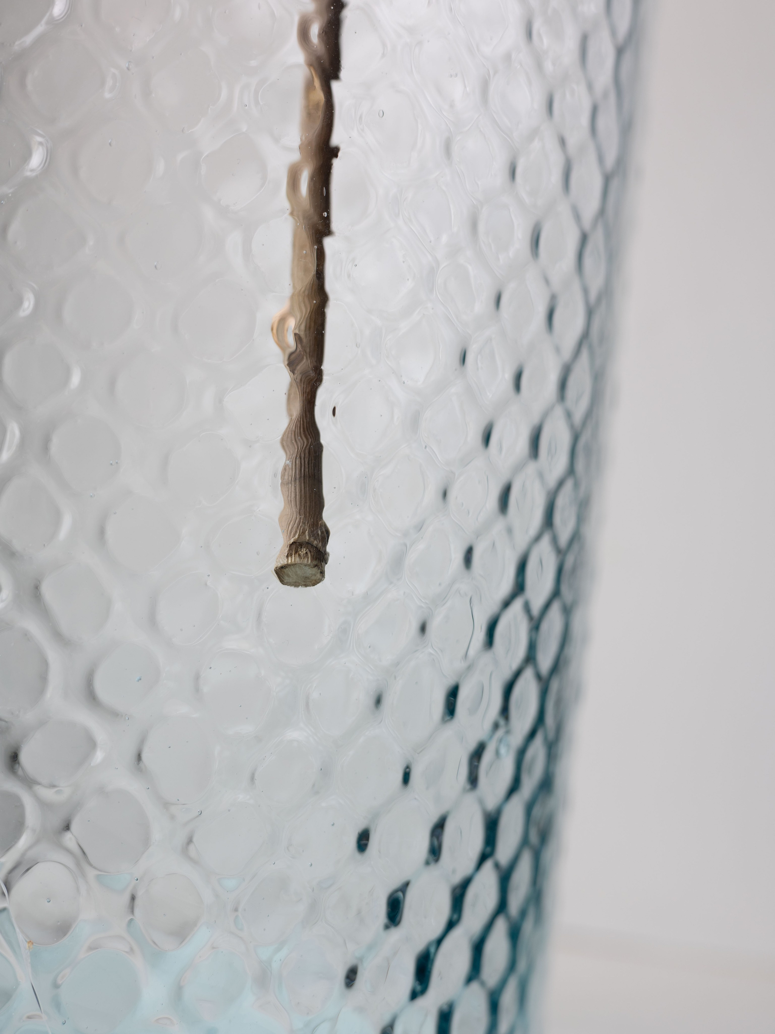 Project. Ula Aldokhina