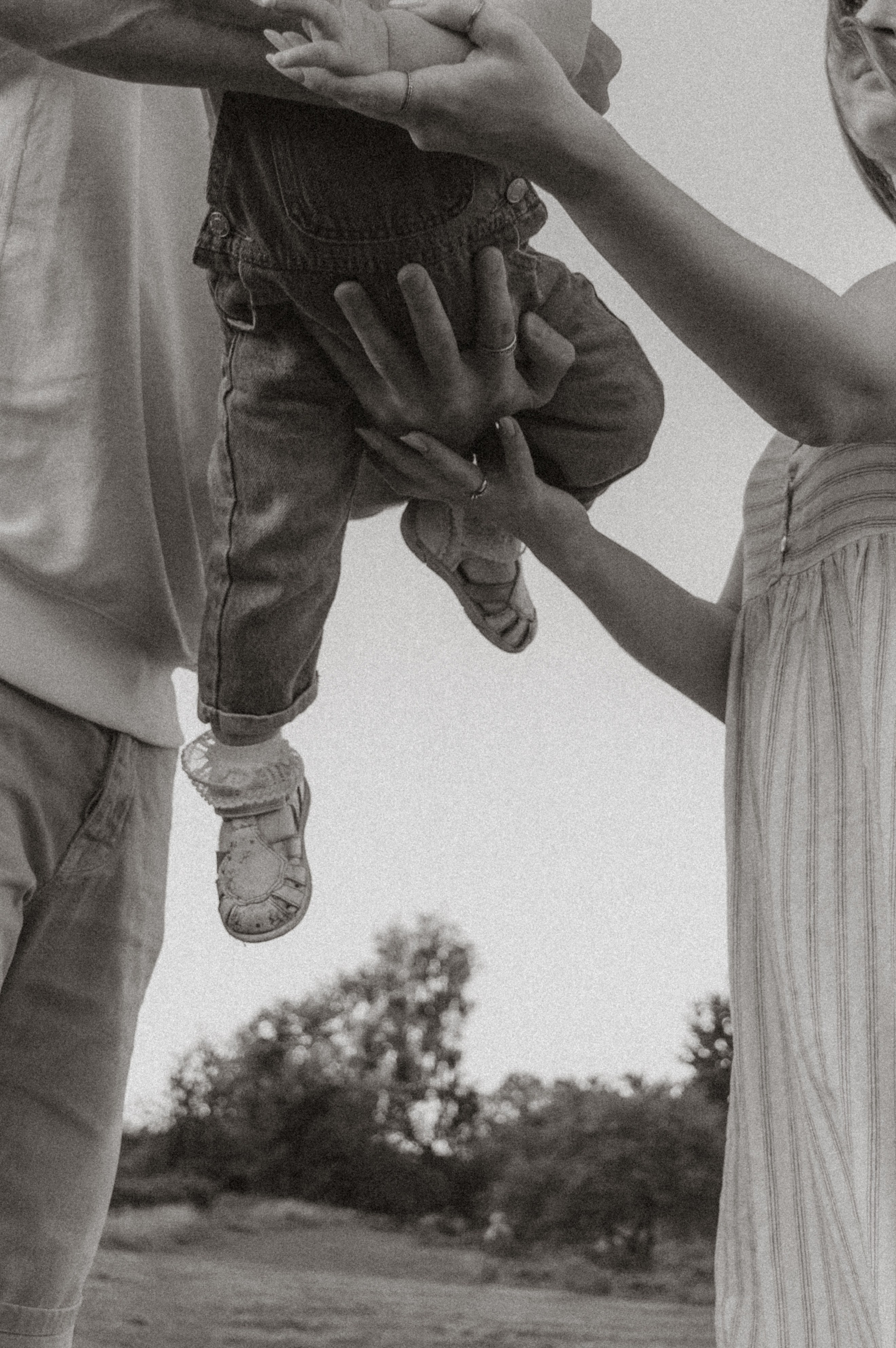 Аромат августа. Семейная летняя фотосессия в парке. Москва. Юлия Левада Семейный и женский фотограф