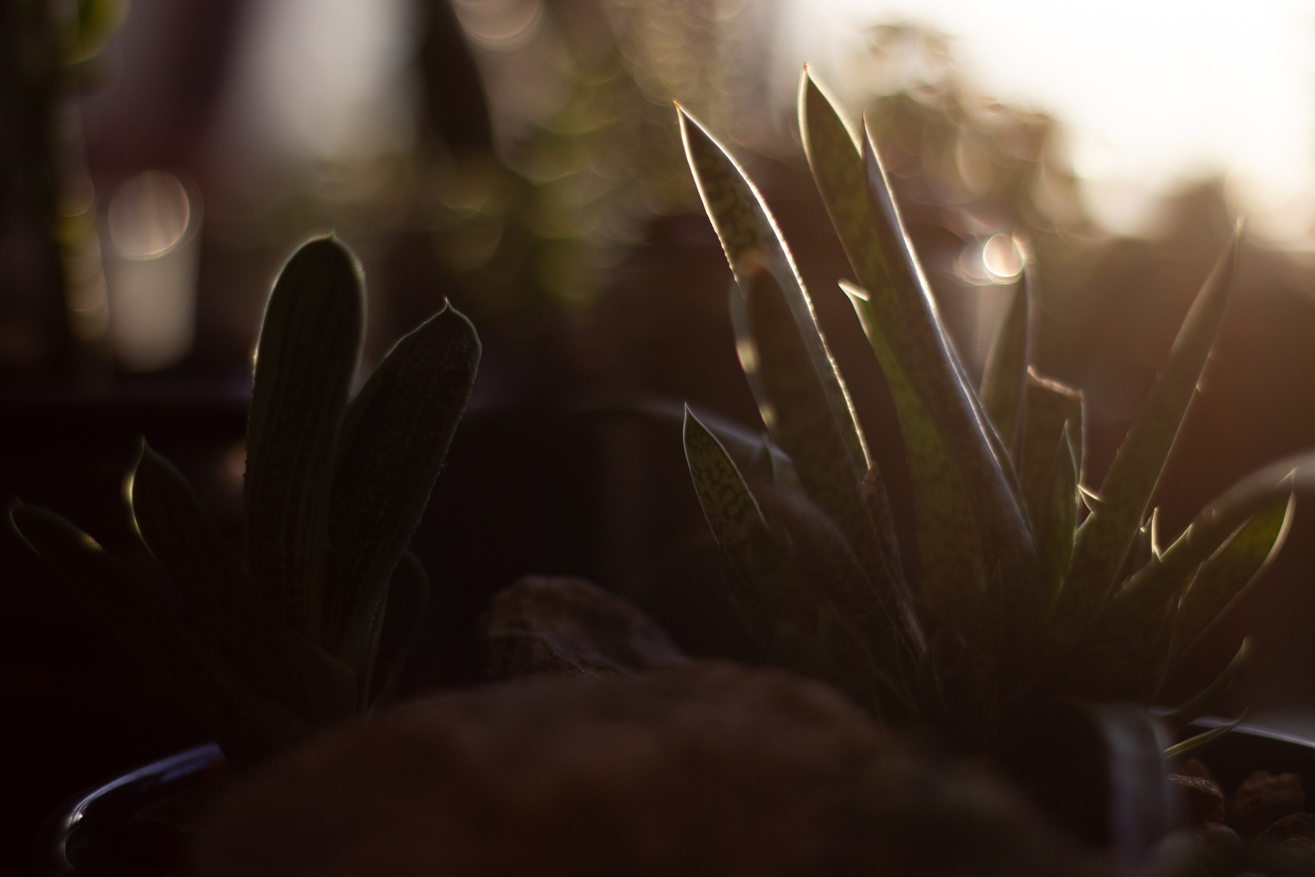 Другое. Jorgis Talè — photographer, kind person, teacher of arts and other mag