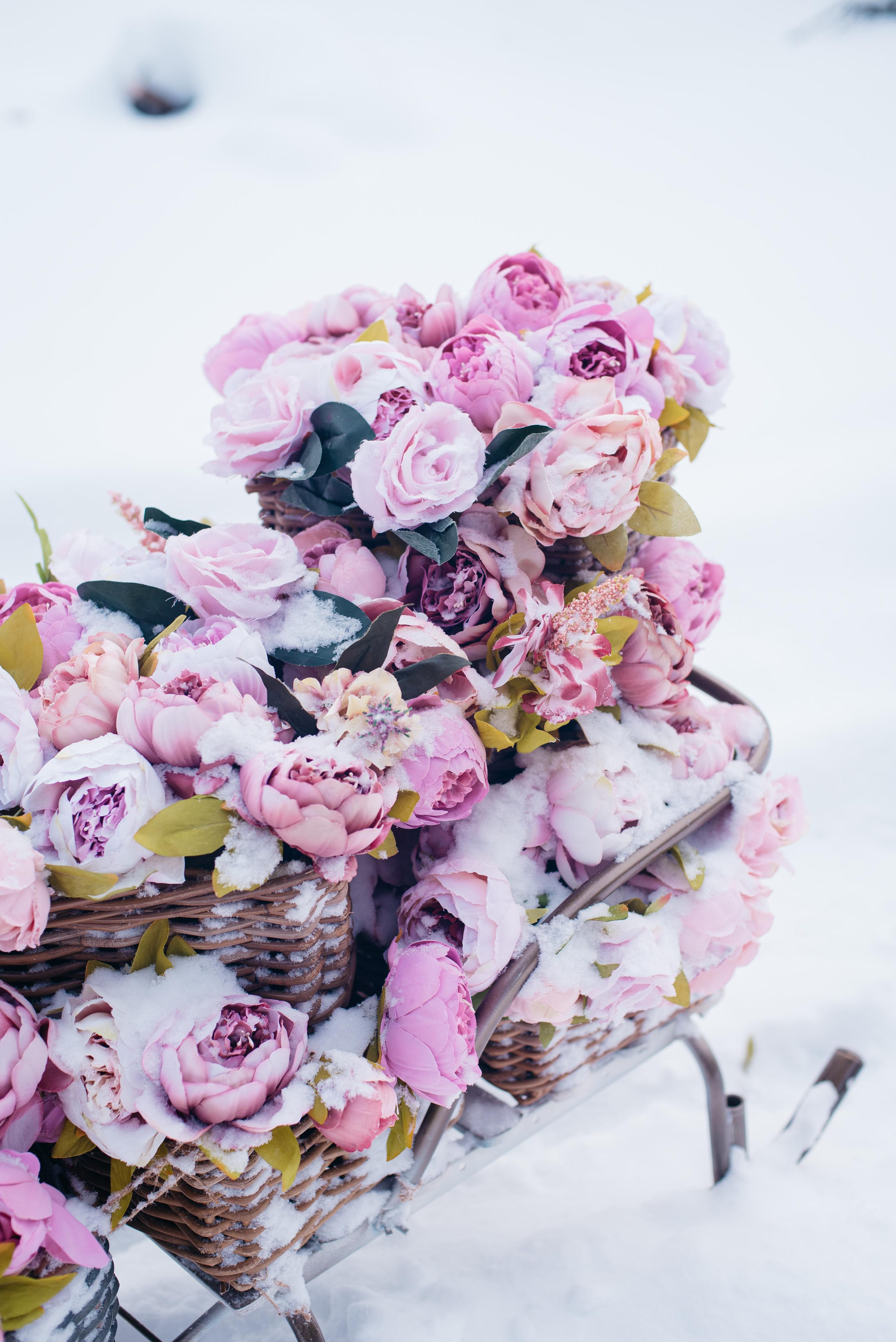 Февральский фотопроект с цветами. Семейный и детский фотограф Захаренкова Юлия