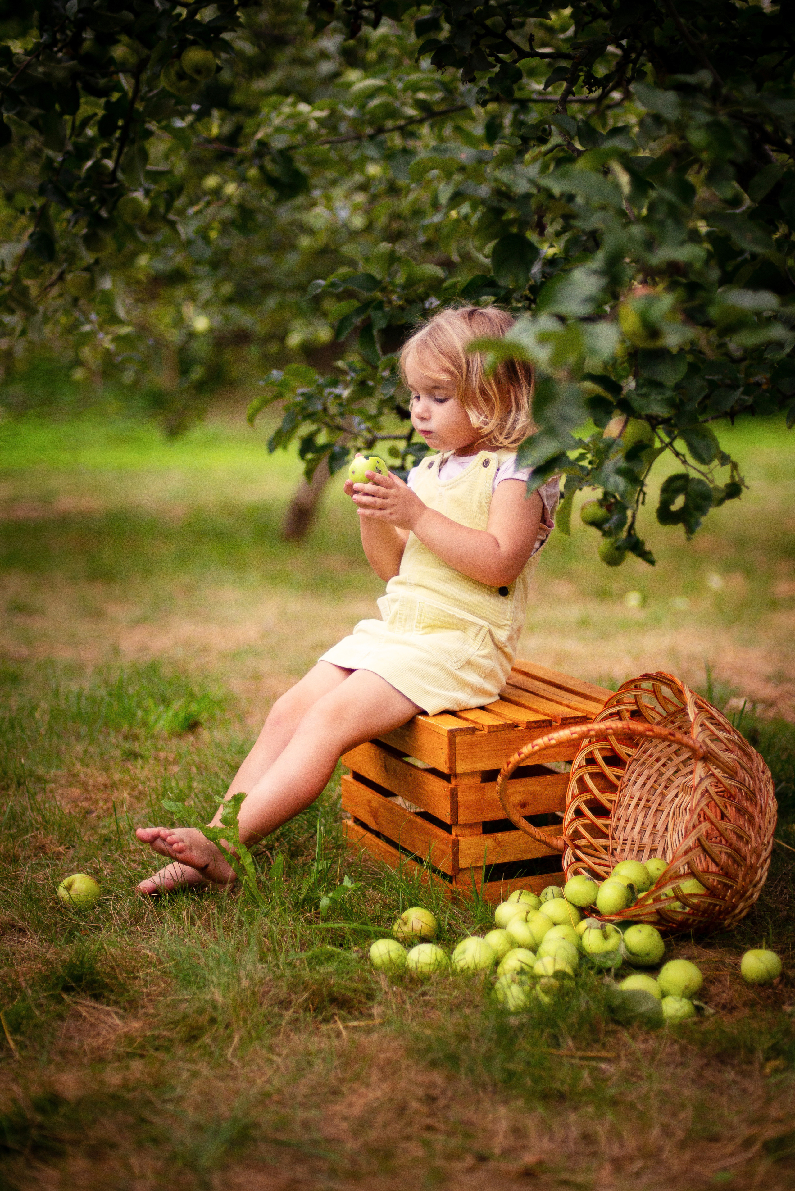 Портфолио. Семейный и детский фотограф Захаренкова Юлия