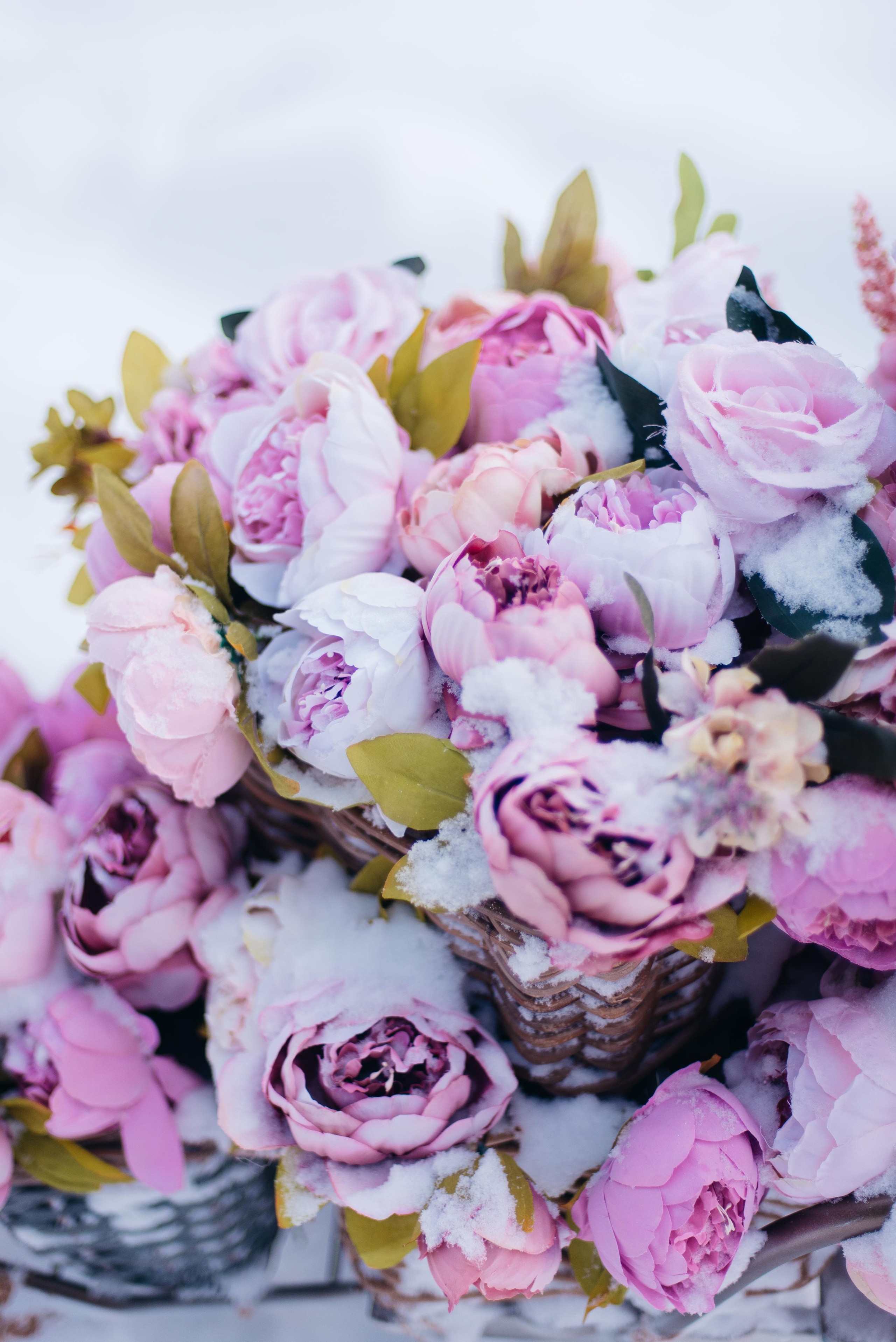 Февральский фотопроект с цветами. Семейный и детский фотограф Захаренкова Юлия