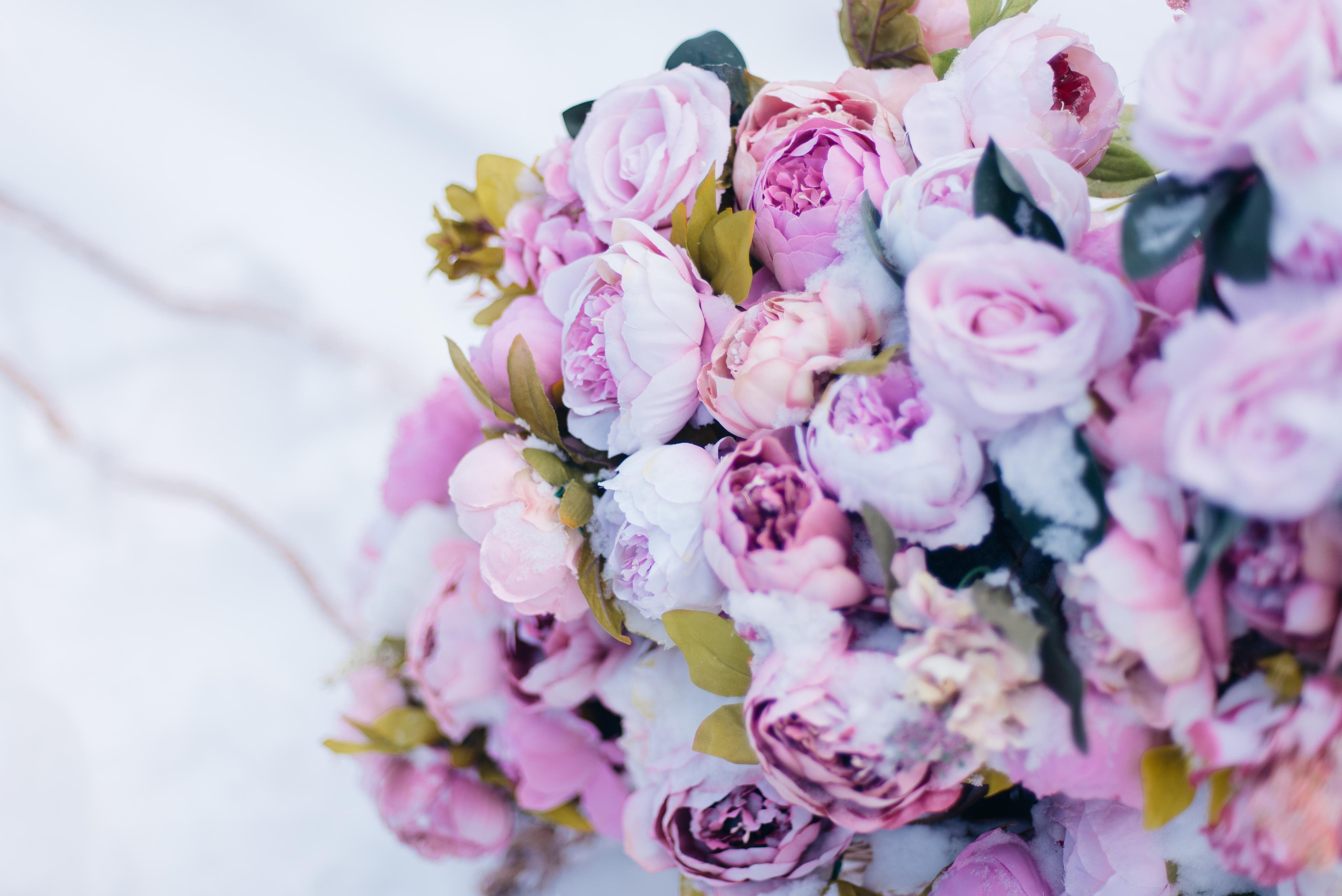 Февральский фотопроект с цветами. Семейный и детский фотограф Захаренкова Юлия