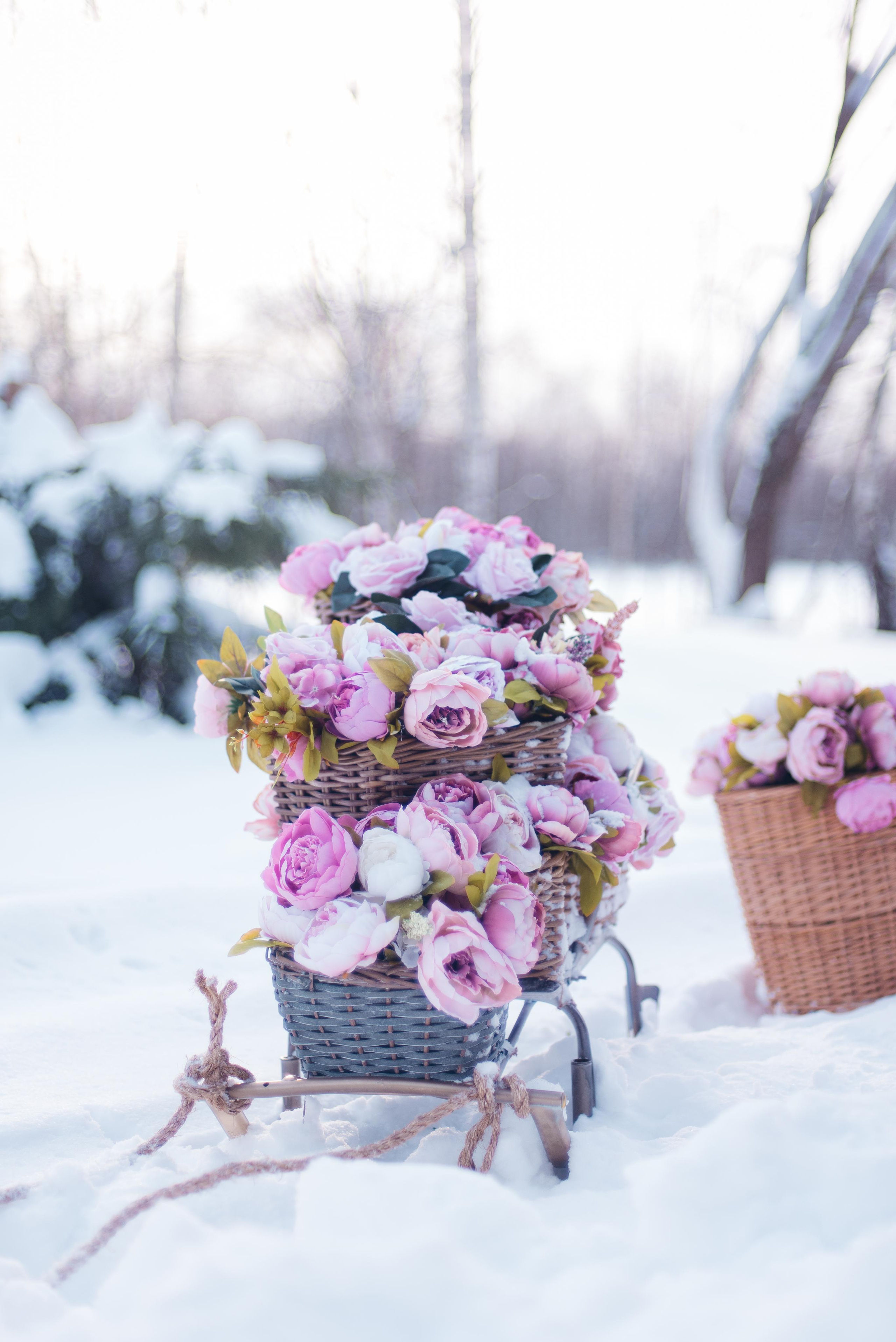 Февральский фотопроект с цветами. Семейный и детский фотограф Захаренкова Юлия