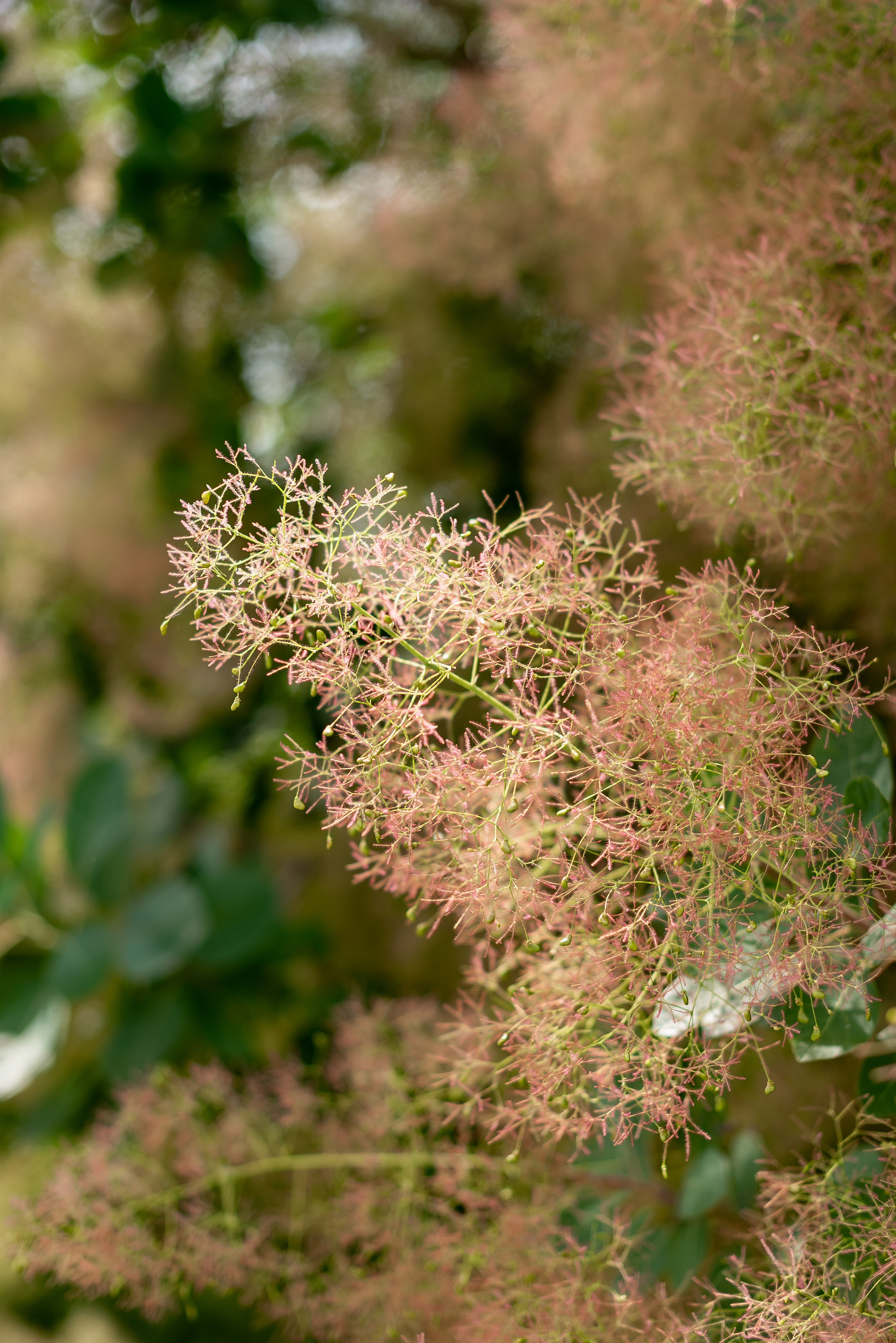 Храм Александра Невского. Фотограф Татьяна Иванчикова