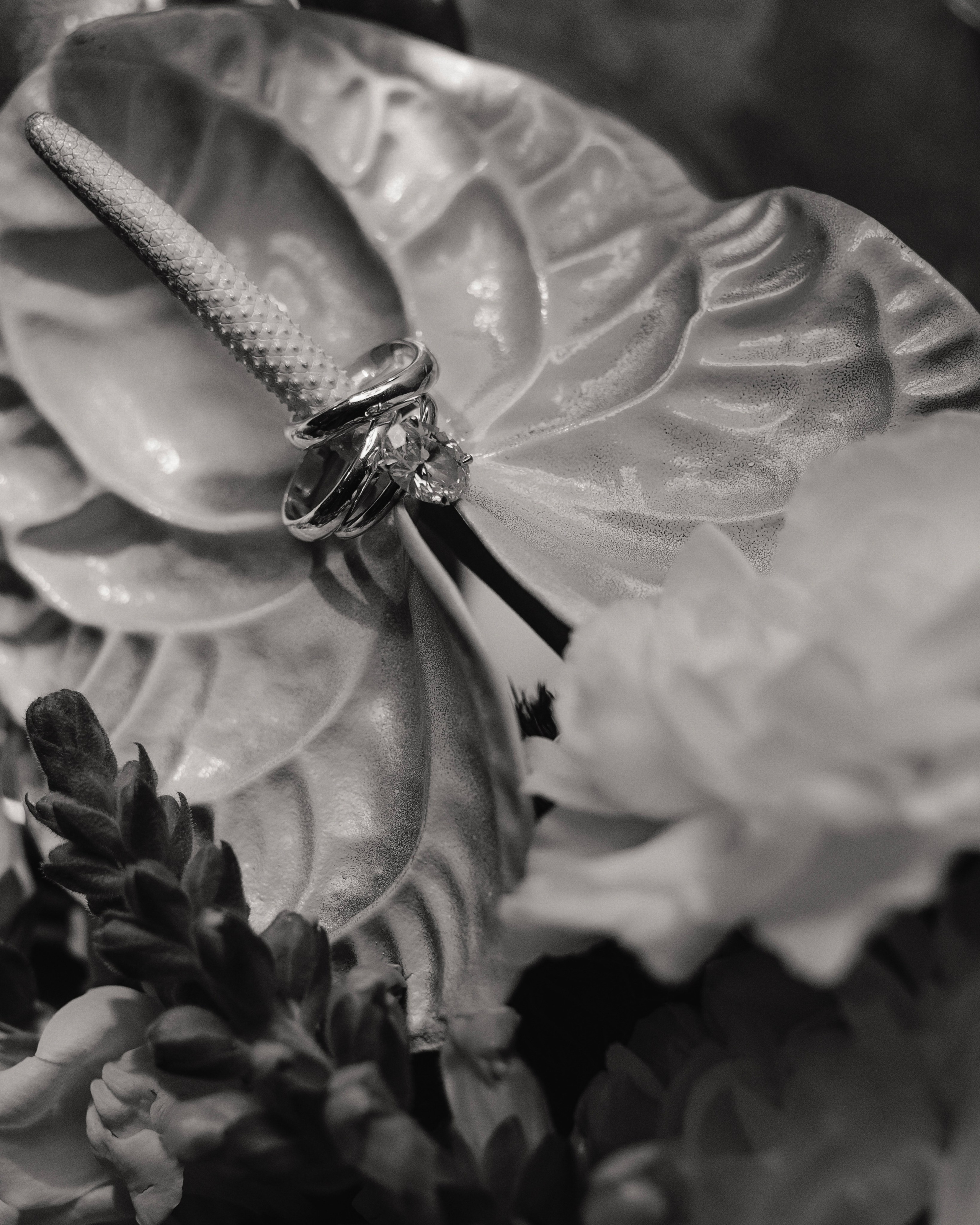 Фотограф Москва, МО, СПБ