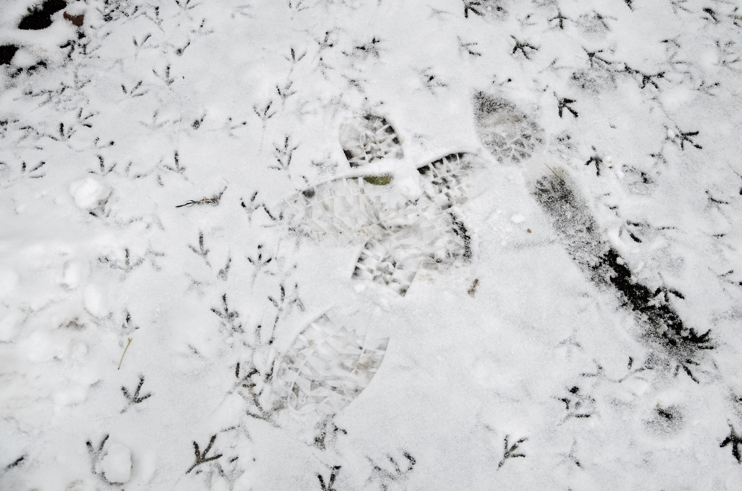 Интересное рядом. Фото, видео, монтаж