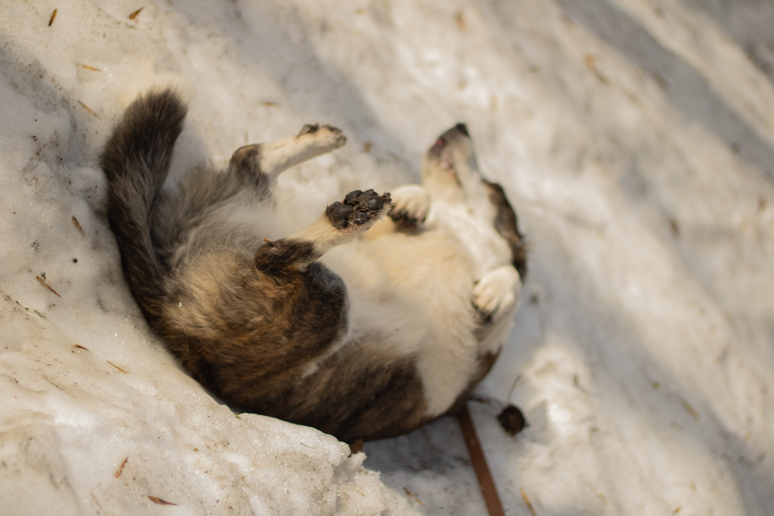 Юлия и Тэя. Катя Попова|ЛайфСтайл фотограф