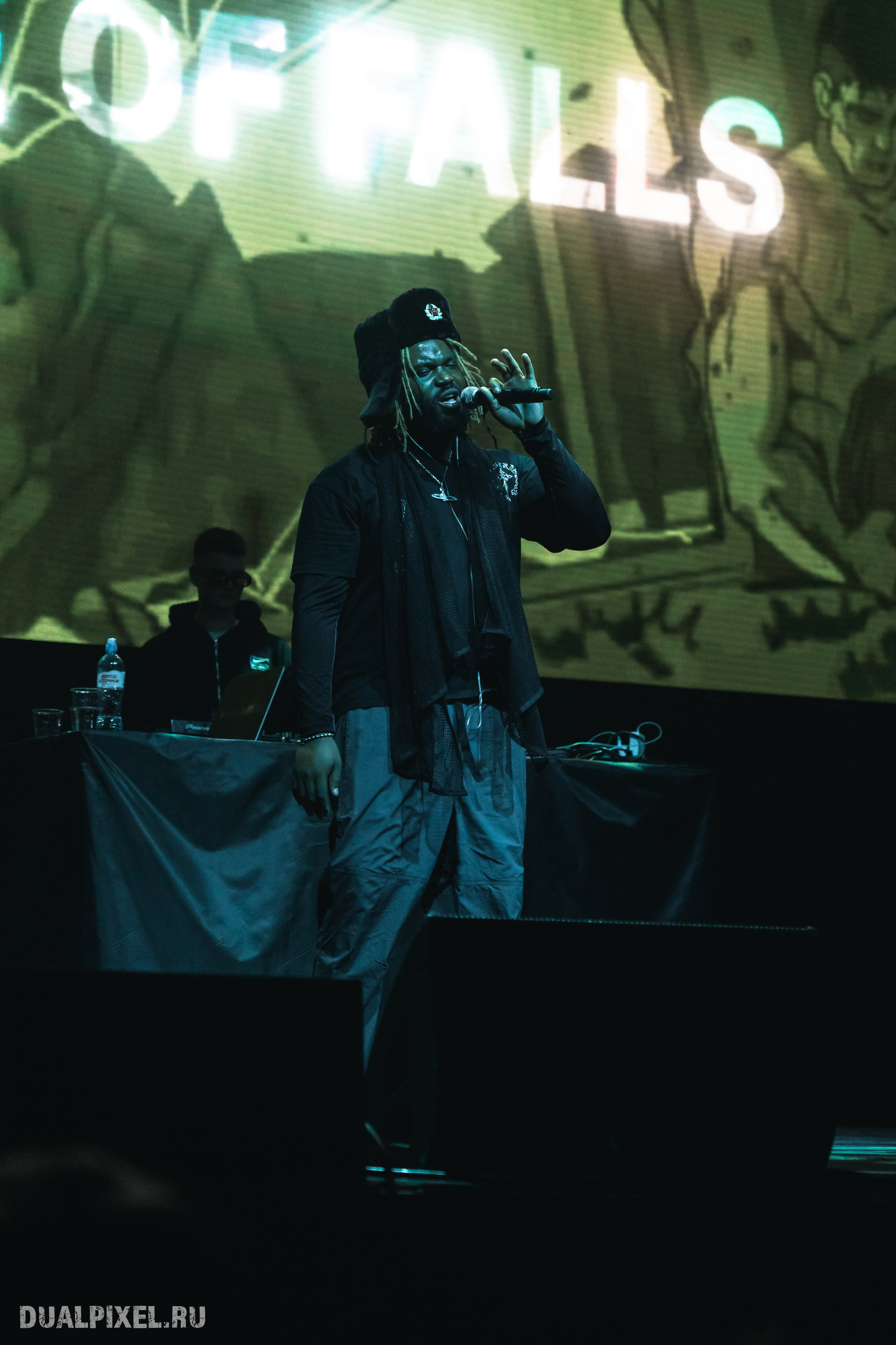 Prince Of Falls. Магия музыки в кадре: Концертная Фотография