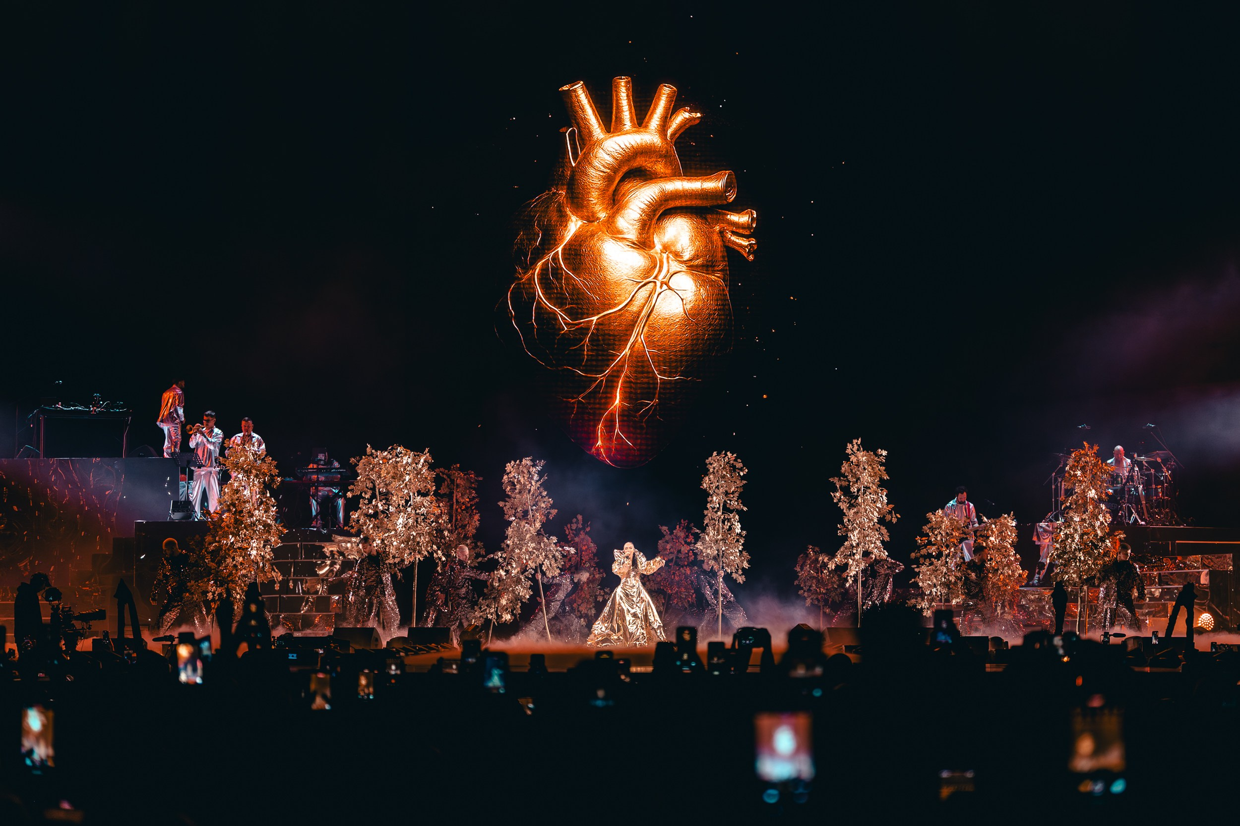 Мари Краймбрери. Магия музыки в кадре: Концертная Фотография