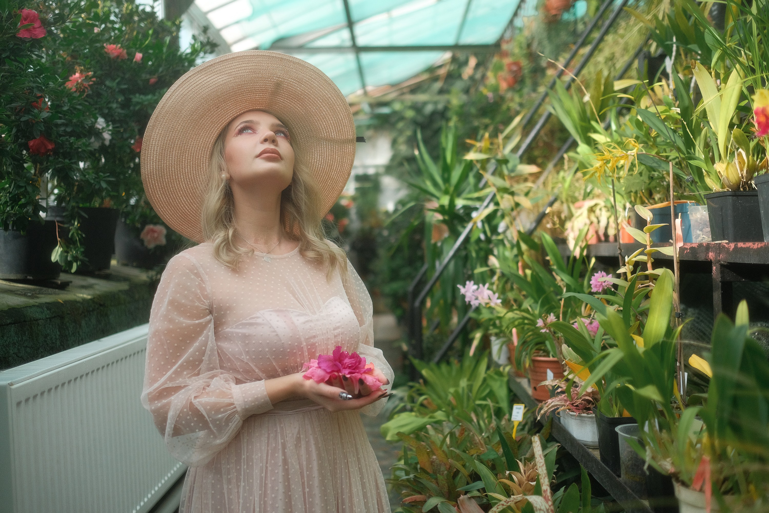 Greenhouse. Aleksandr Schafft