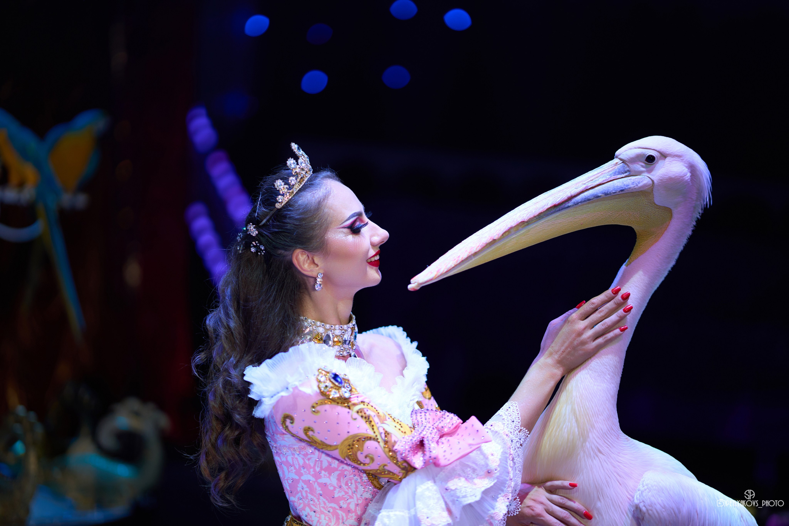 Фотосессия для артистов цирка Дарьи и Владимира Лекаревых. Фотограф, видеограф Пятигорск, Ставрополь, Ессентуки, Petlyakovs_photo