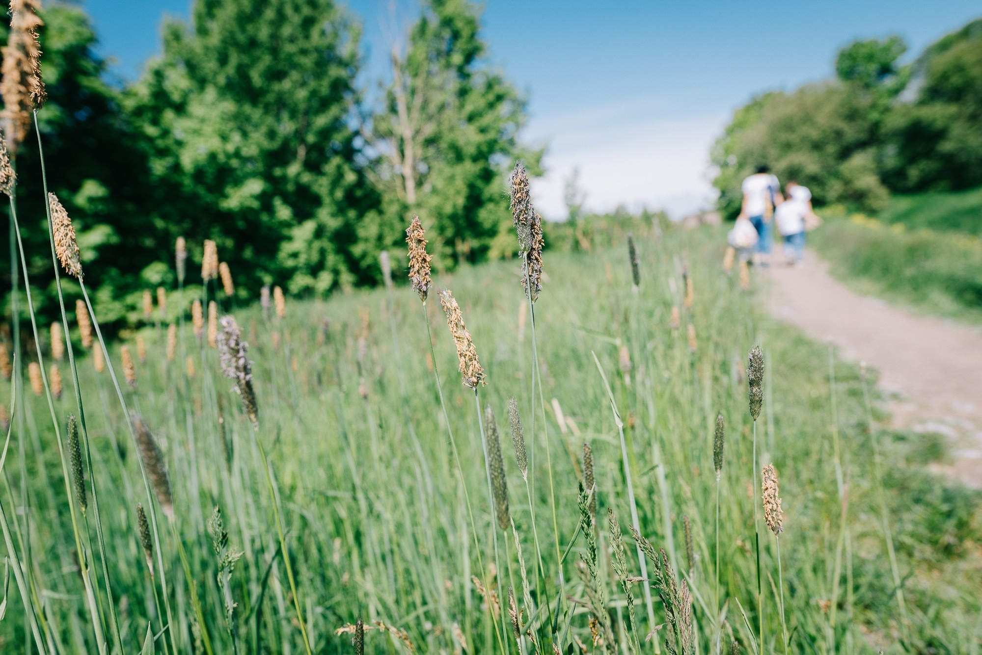У моря под облаками. Семейный и детский фотограф в Санкт-Петербурге Марина Сергеева