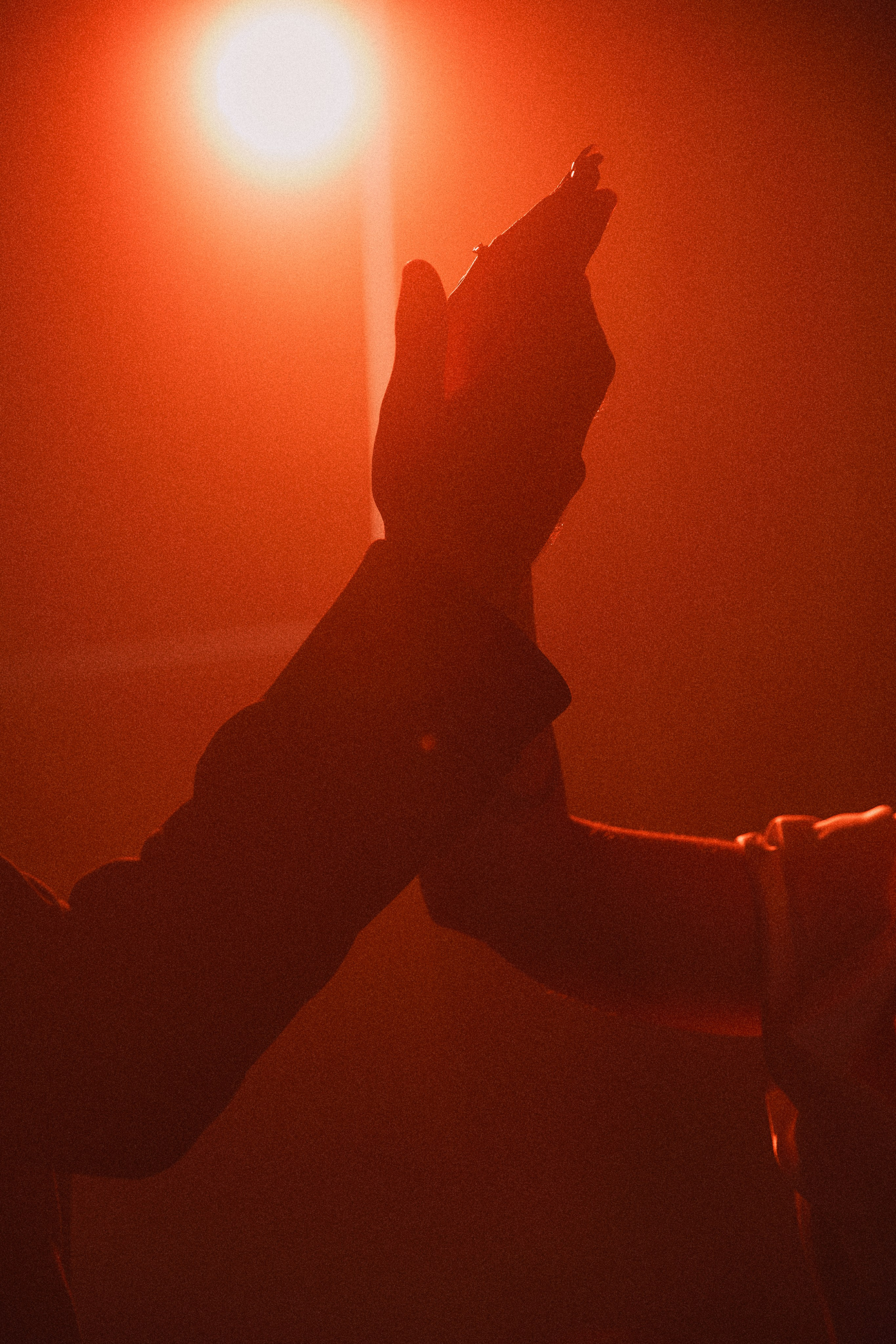 HER WILD, HIS CALM. Дмитрий Мазуркевич: Профессиональный Репортажный Фотограф