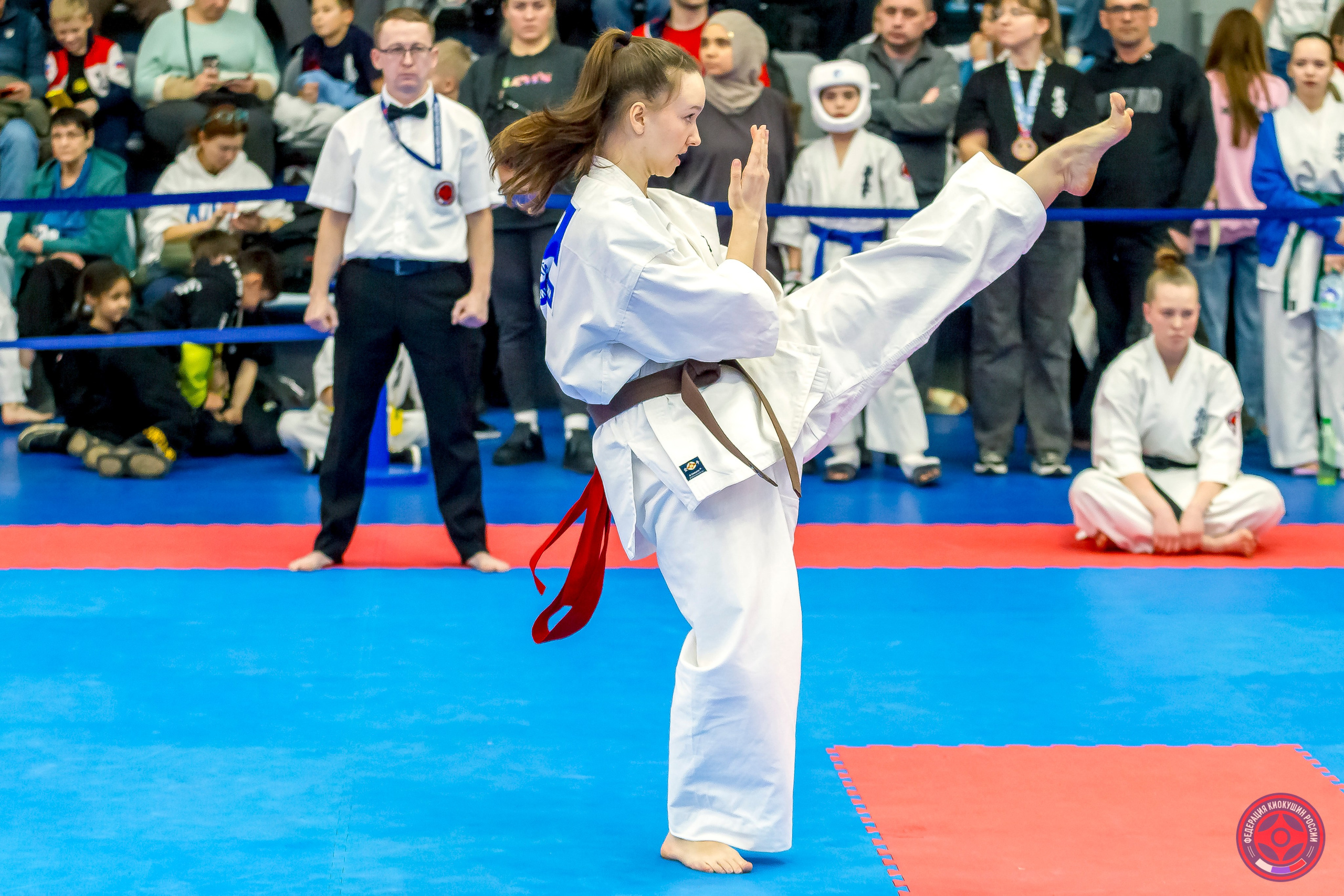 Международный турнир по киокушин «Открытый кубок Seiken». Репортажная съемка в Москве и области. Анималистика