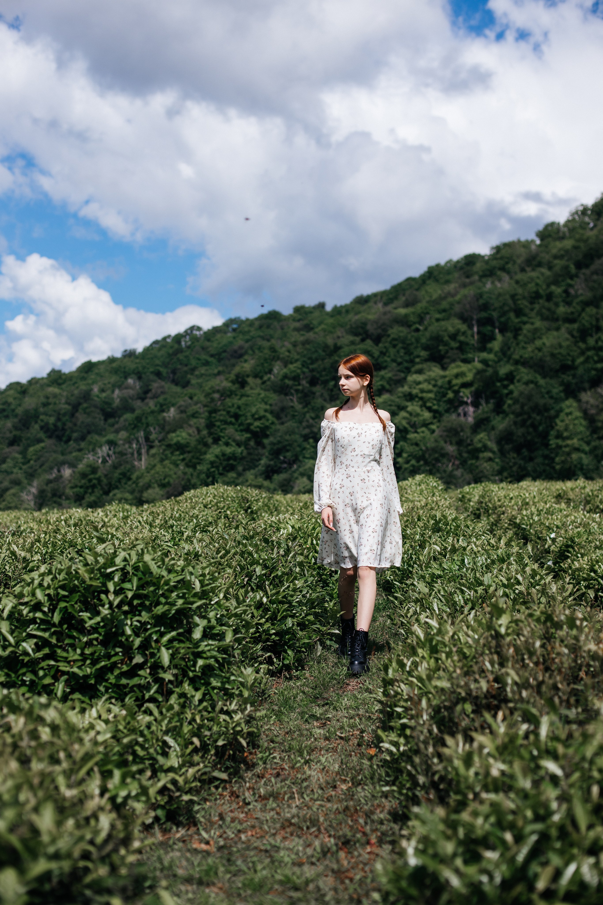 Tea plantation. Efimova Model Agency