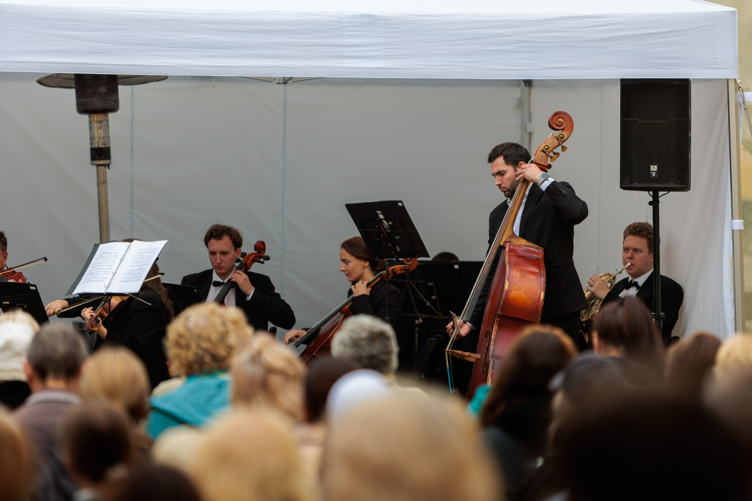 Концерт малого симфонического оркестра. Репортажный фотограф Санкт-Петербург | Роман Карбышев