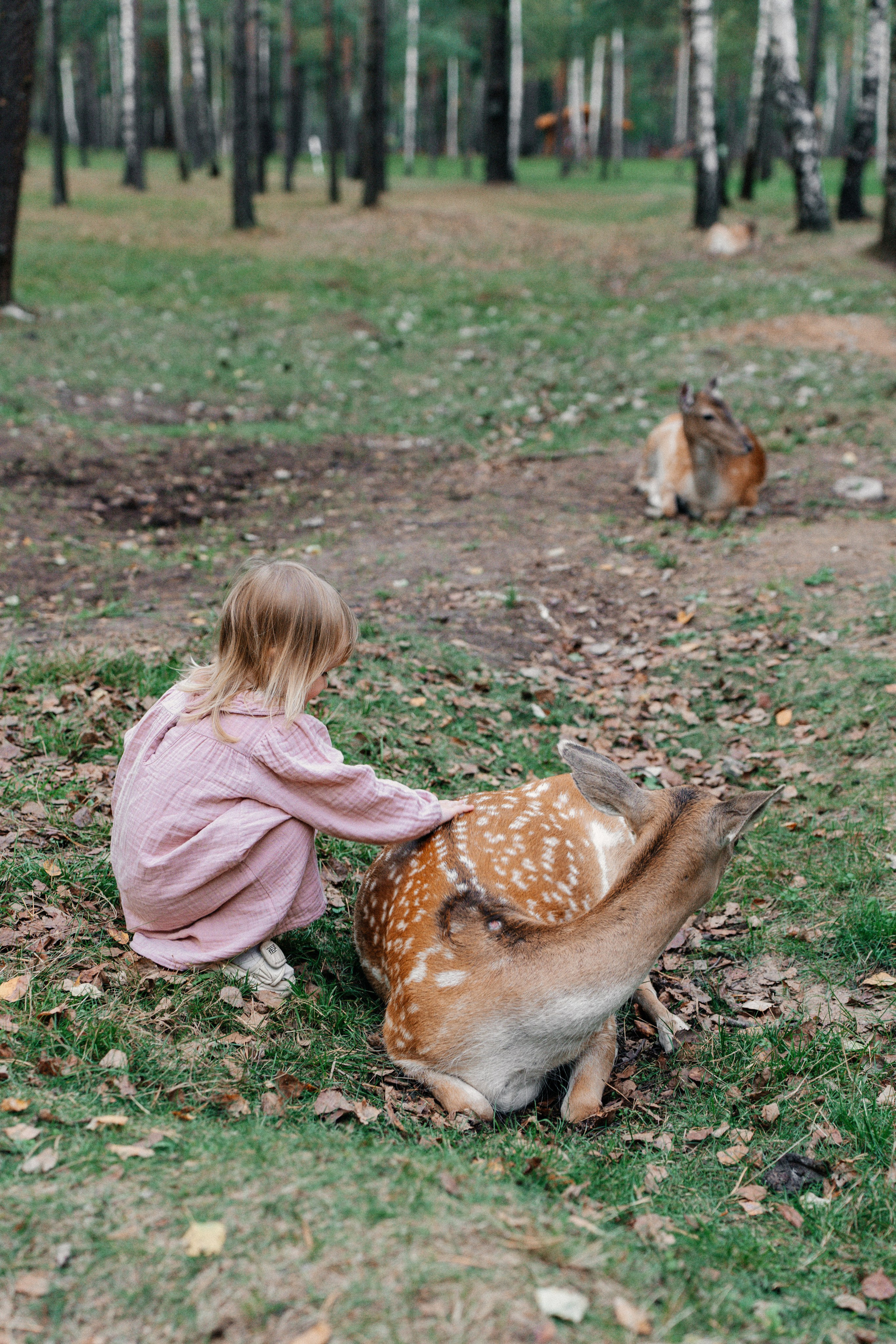 Диприз — в мире диких животных. Ваш семейный фотограф в Минске — Вика Трегубова