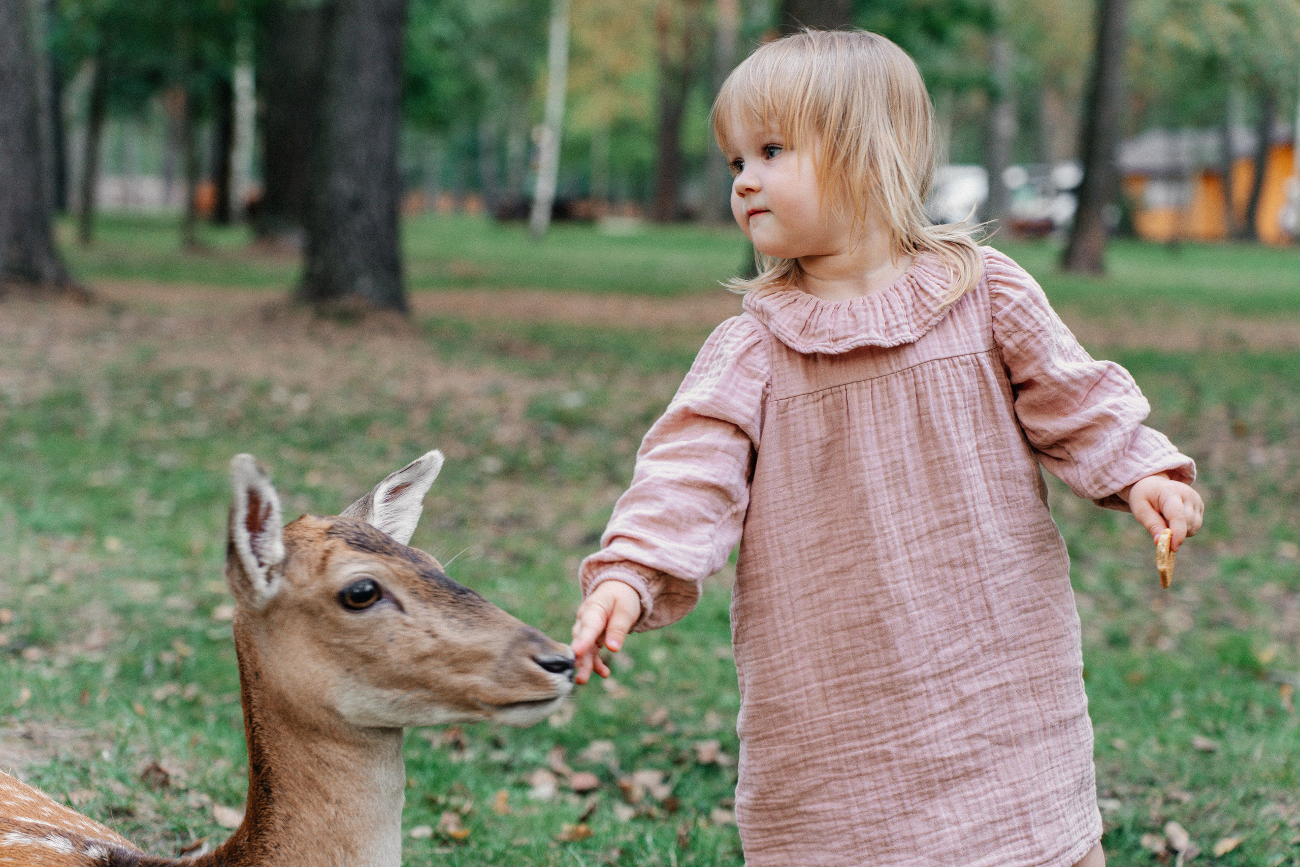 Диприз — в мире диких животных. Ваш семейный фотограф в Минске — Вика Трегубова