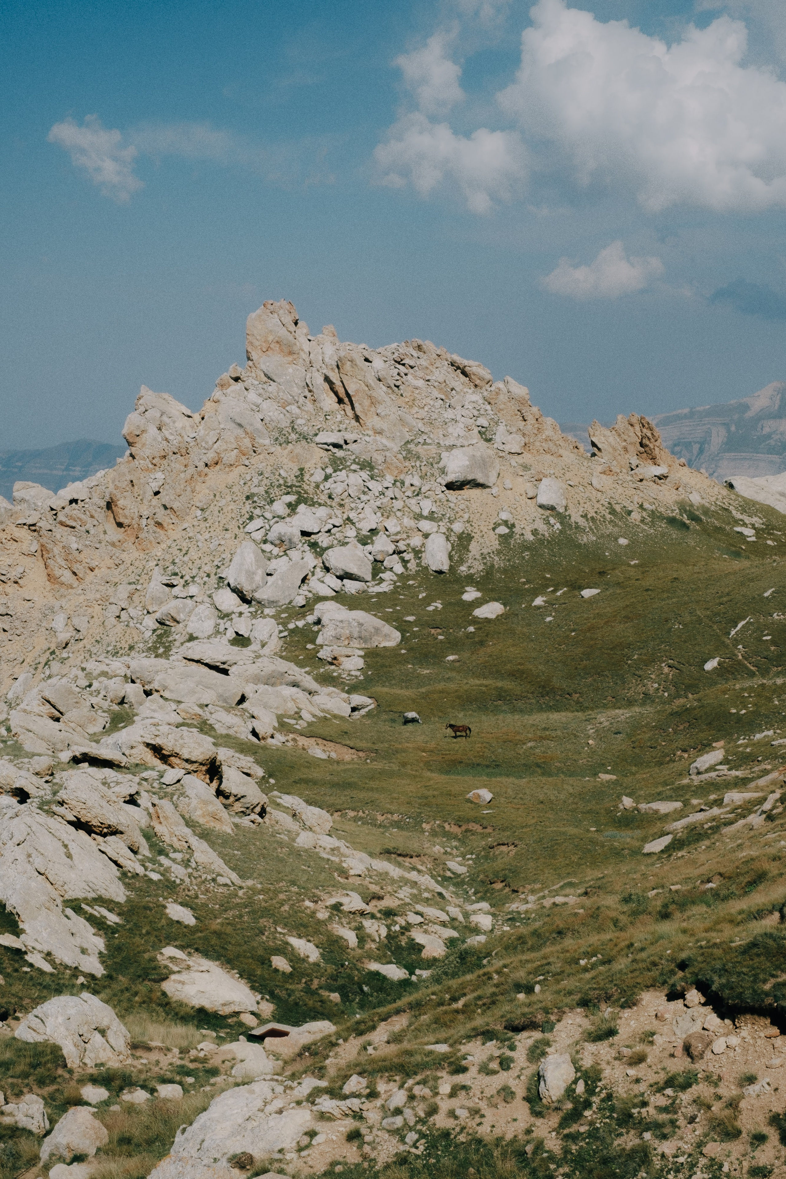 Шахбудзаг 2021