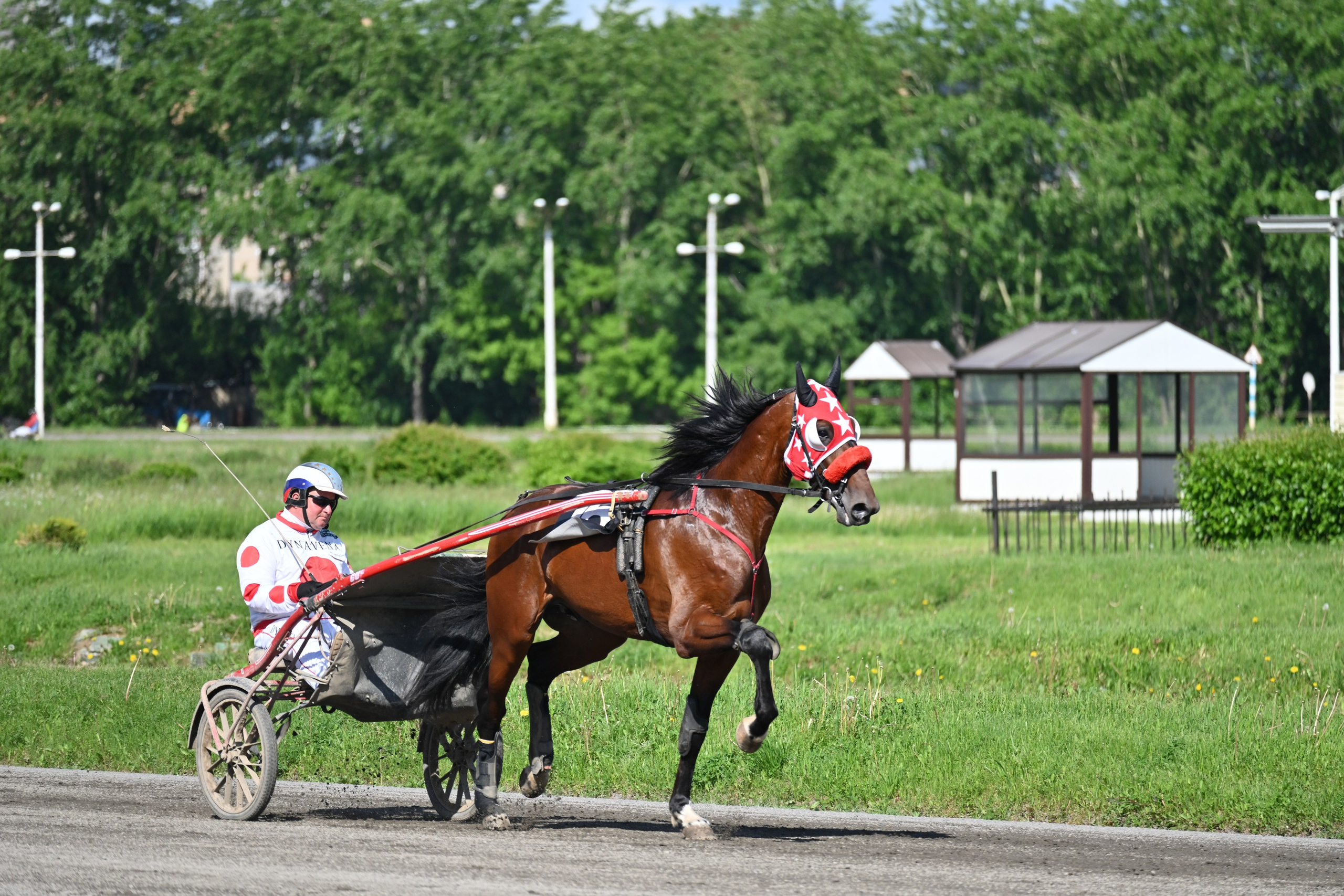 Московский ипподром. Fotolux