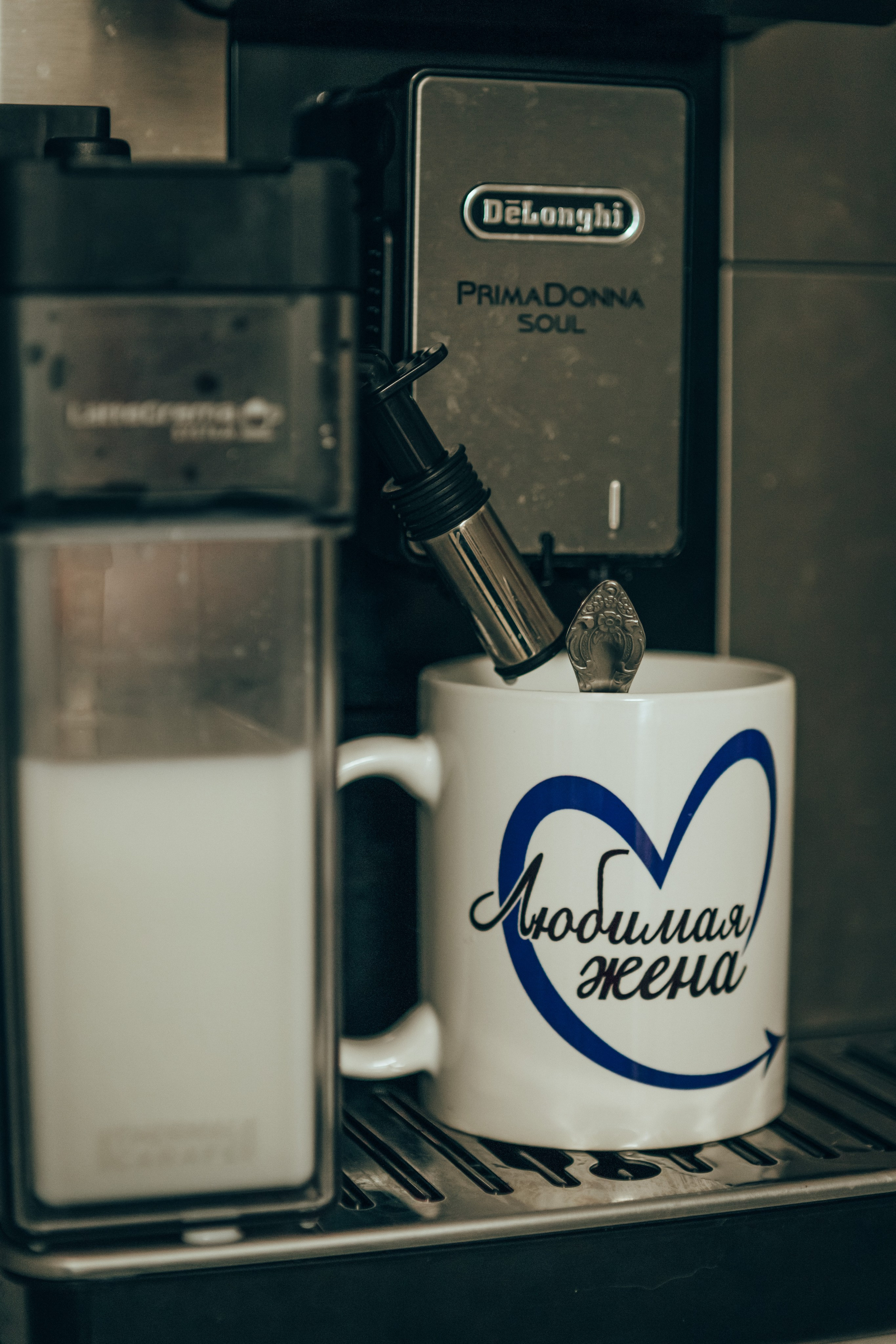 Семья Елены. Семейный и детский фотограф в г. Новосибирске Макеева Анастасия