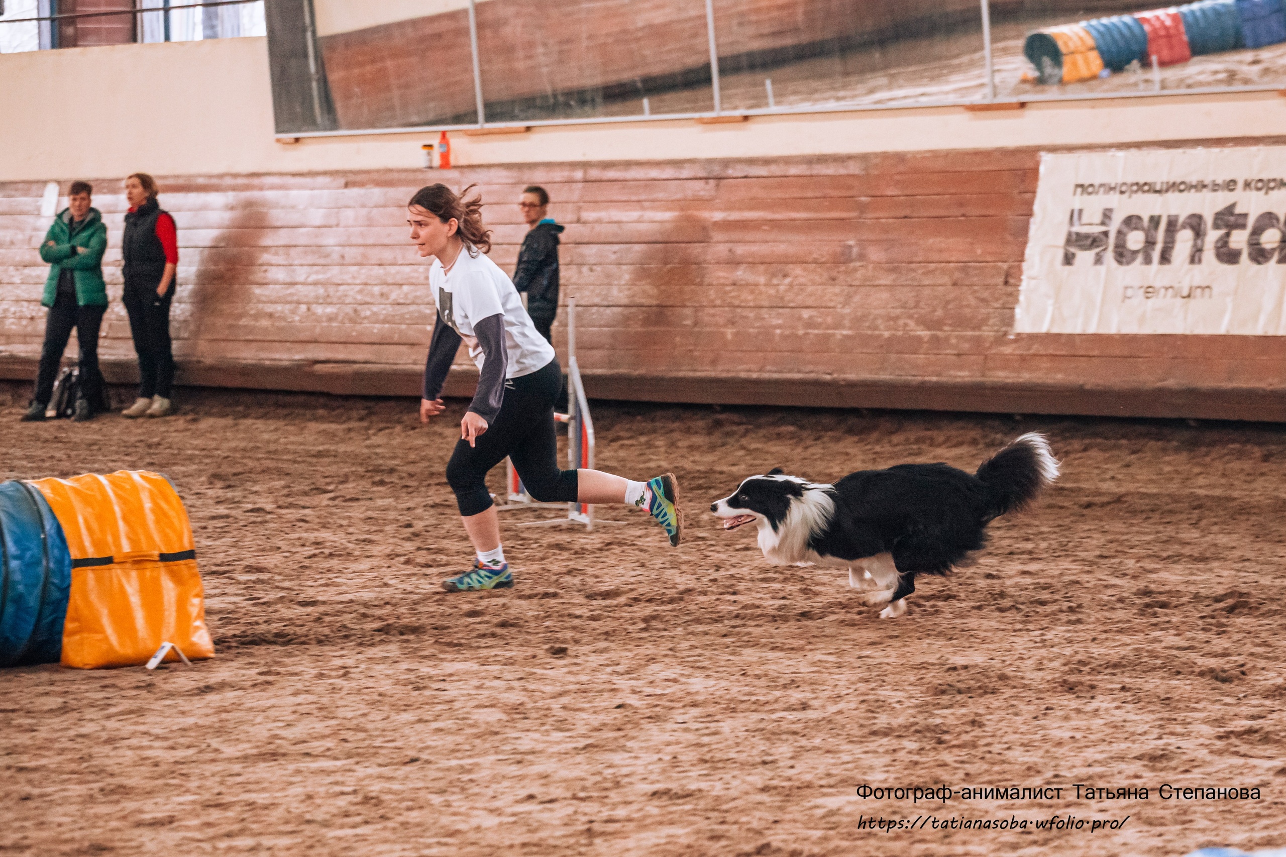Соревнования по Аджилити 25.02.2024. Фотограф-анималист Татьяна Степанова