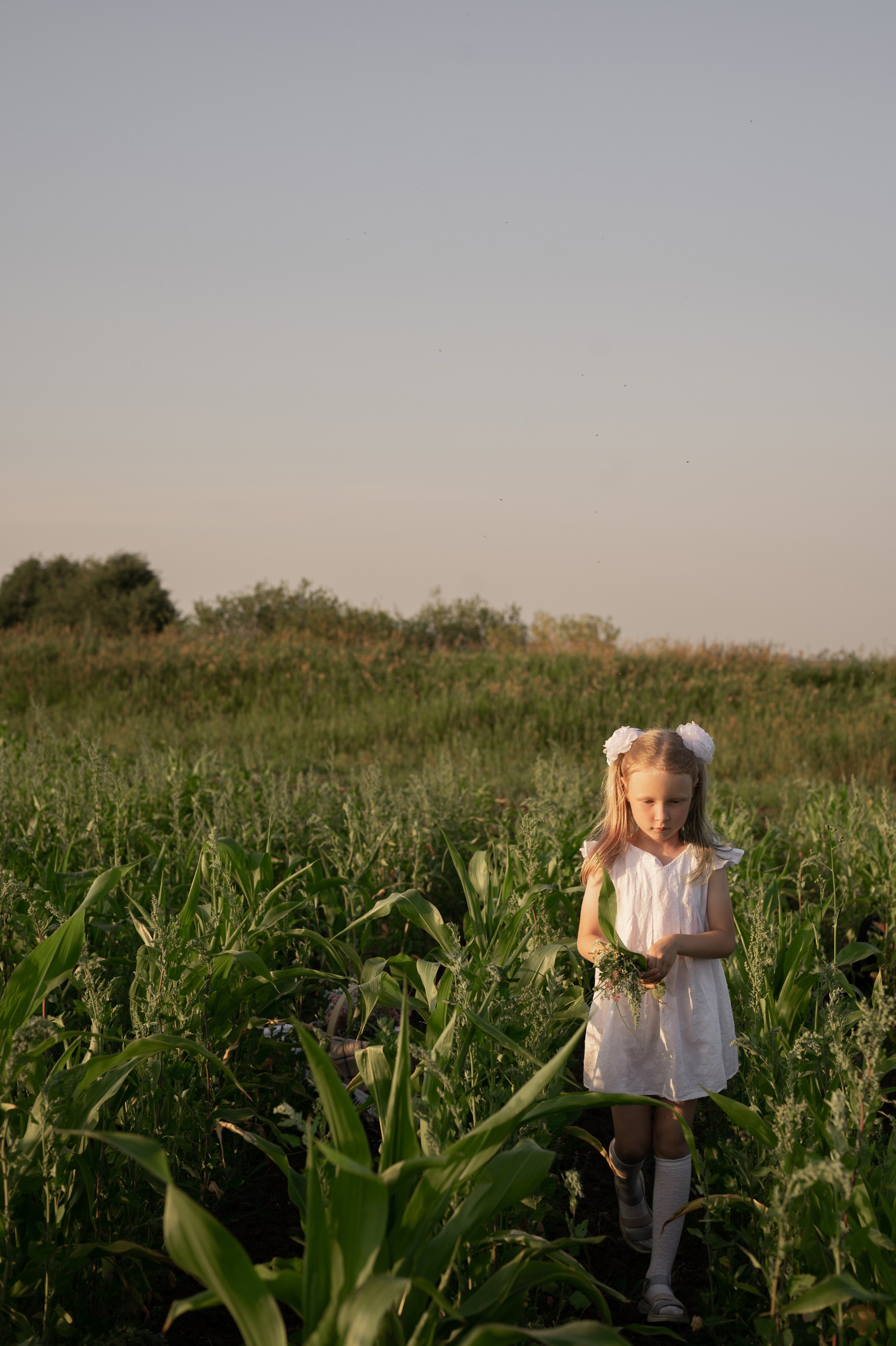 Семейная фотосессия. Свадебный фотограф Йошкар-Ола Казань