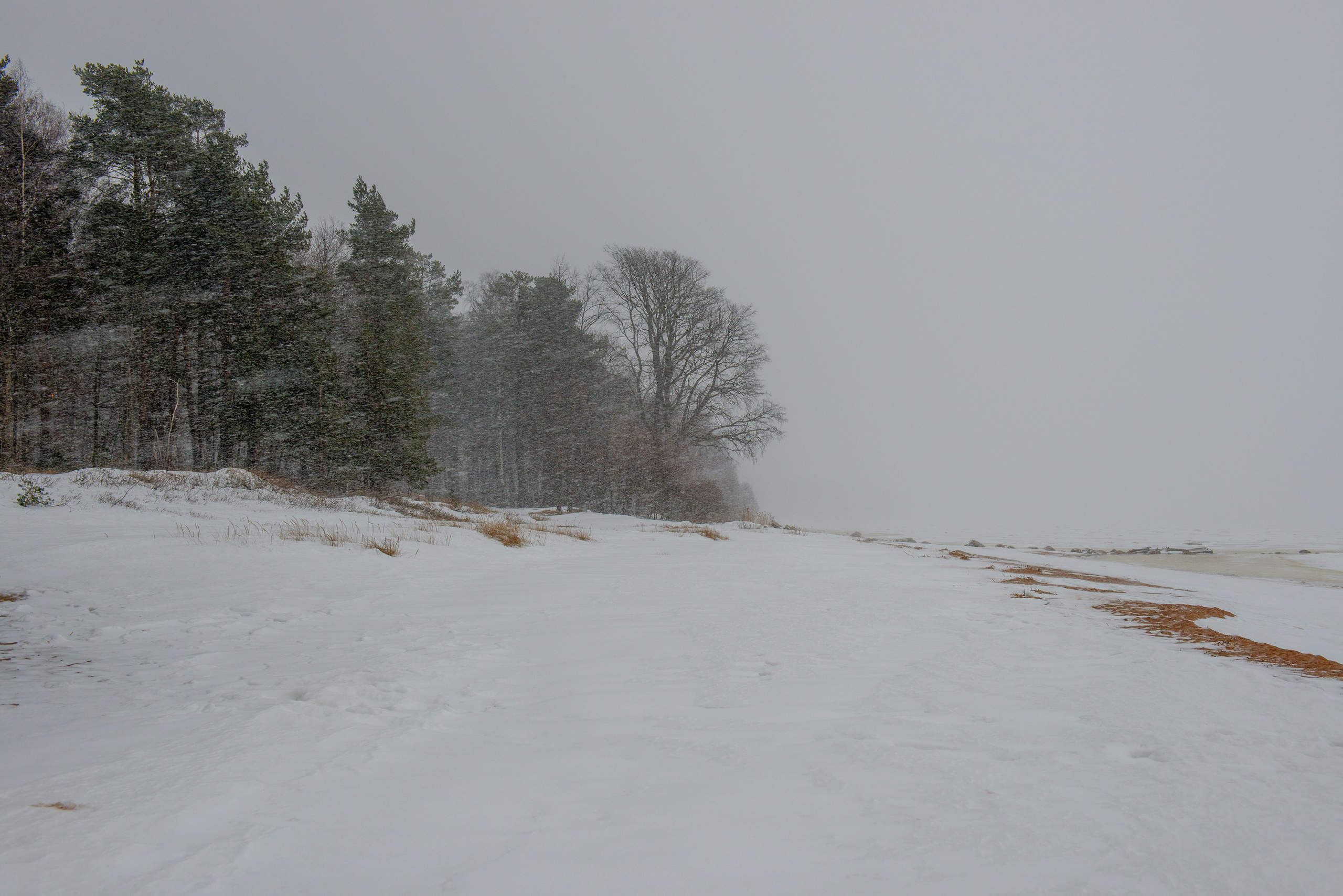 Landscape, nature, plants, details of the world around us. Personal website of photographer Dmitry Raikin