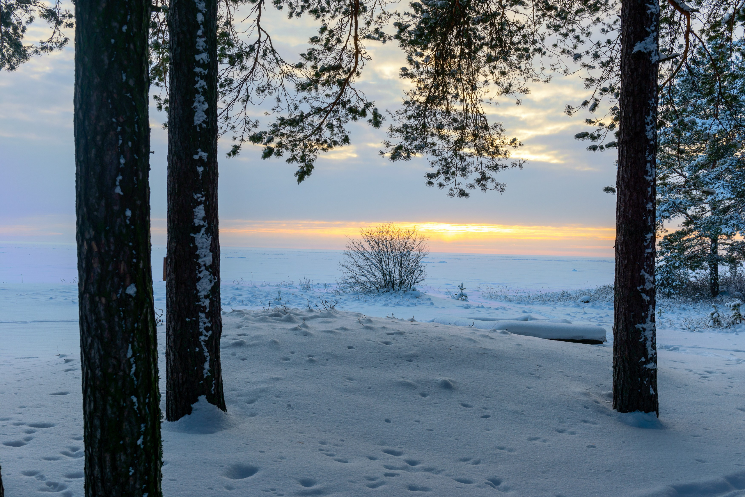 Landscape, nature, plants, details of the world around us. Personal website of photographer Dmitry Raikin