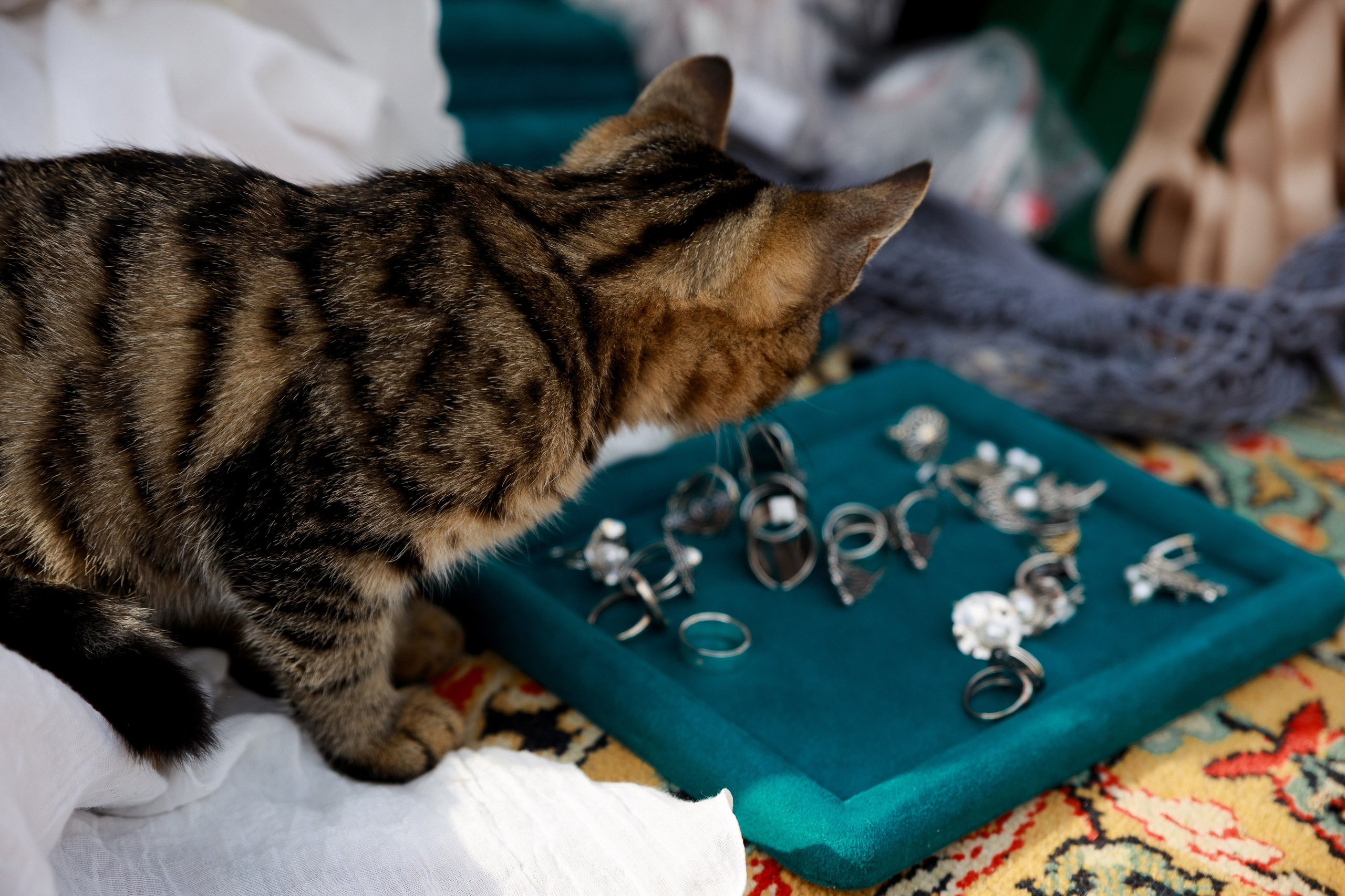 Blest & Pahnet ♡❀. Фотограф Ростов-на-Дону Свадебный Фотограф в Ростове Ксения Орлова