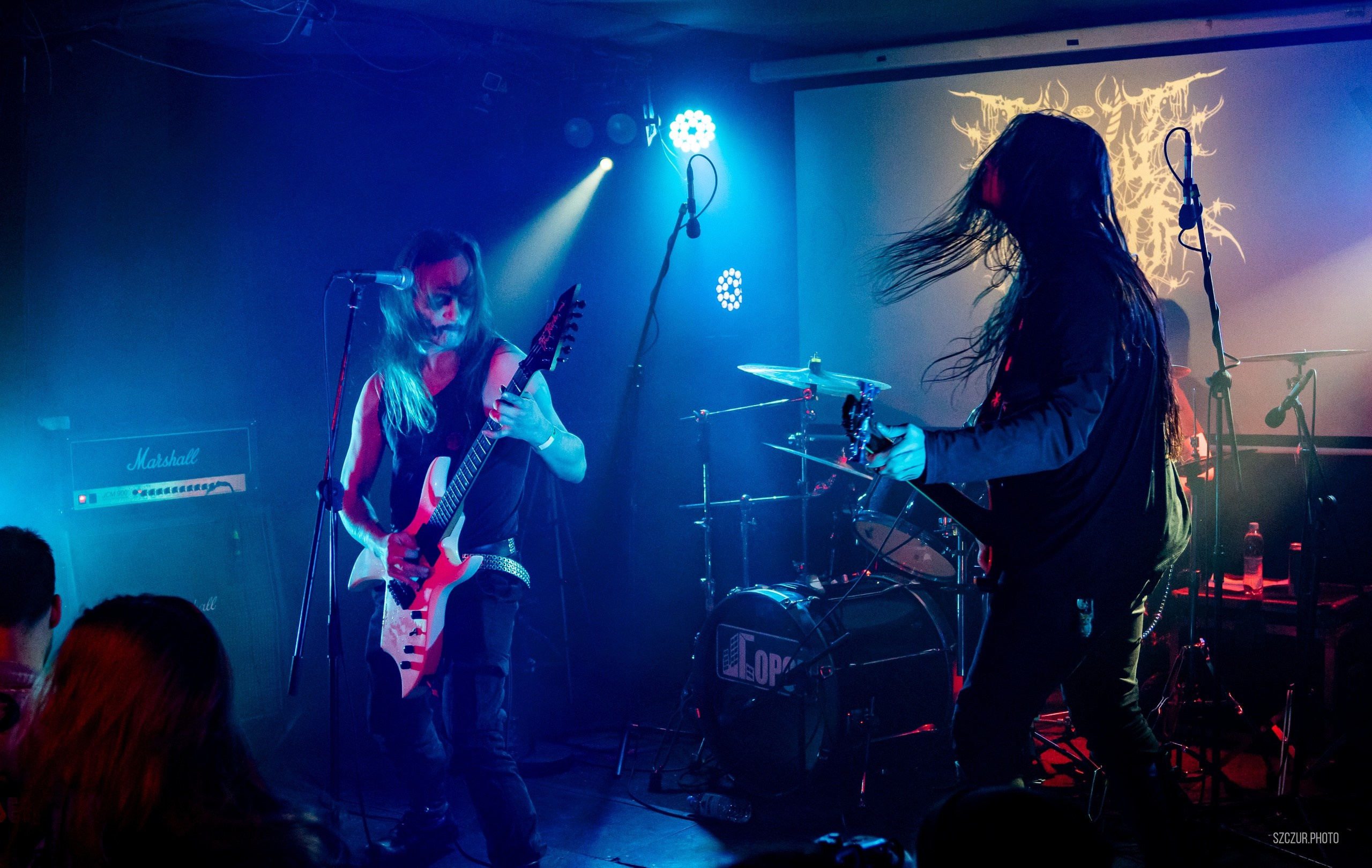 Волчьи Трупы в Городе 6.01.25. Szczur photo