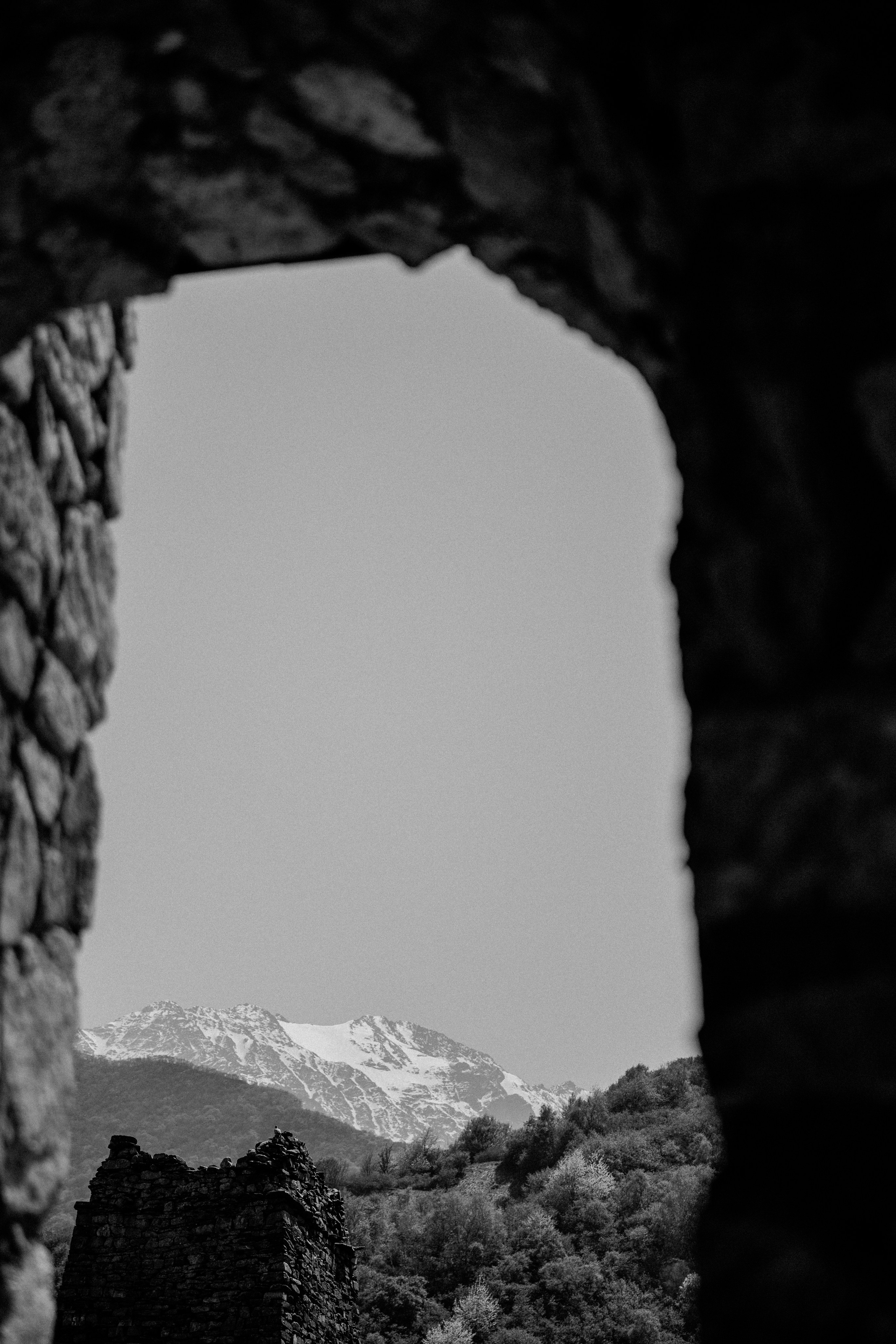 Тур, Осетия. Фотограф Эдуарда Титанян