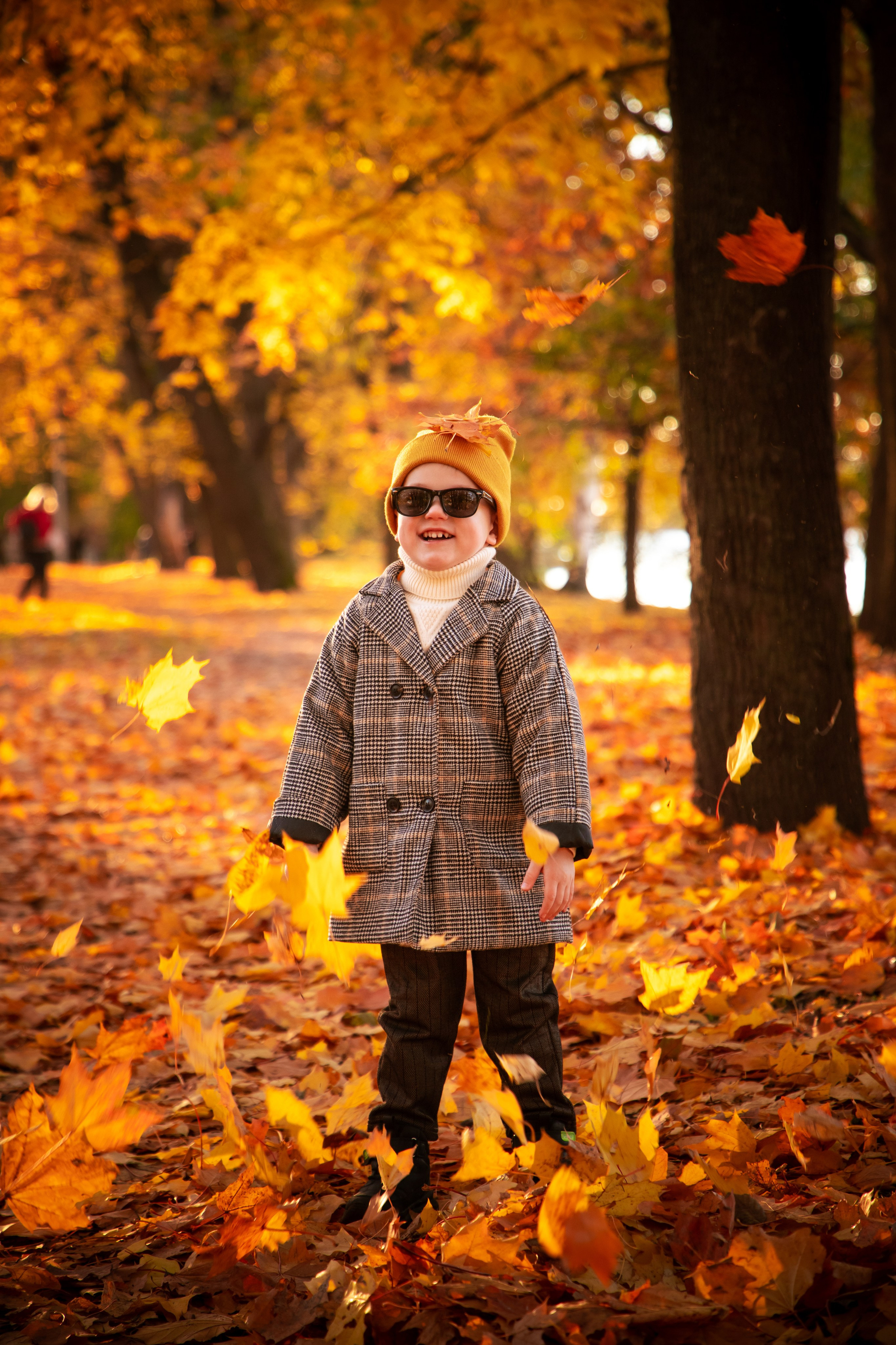 Осень. Фотограф Алексей Шуля — портфолио