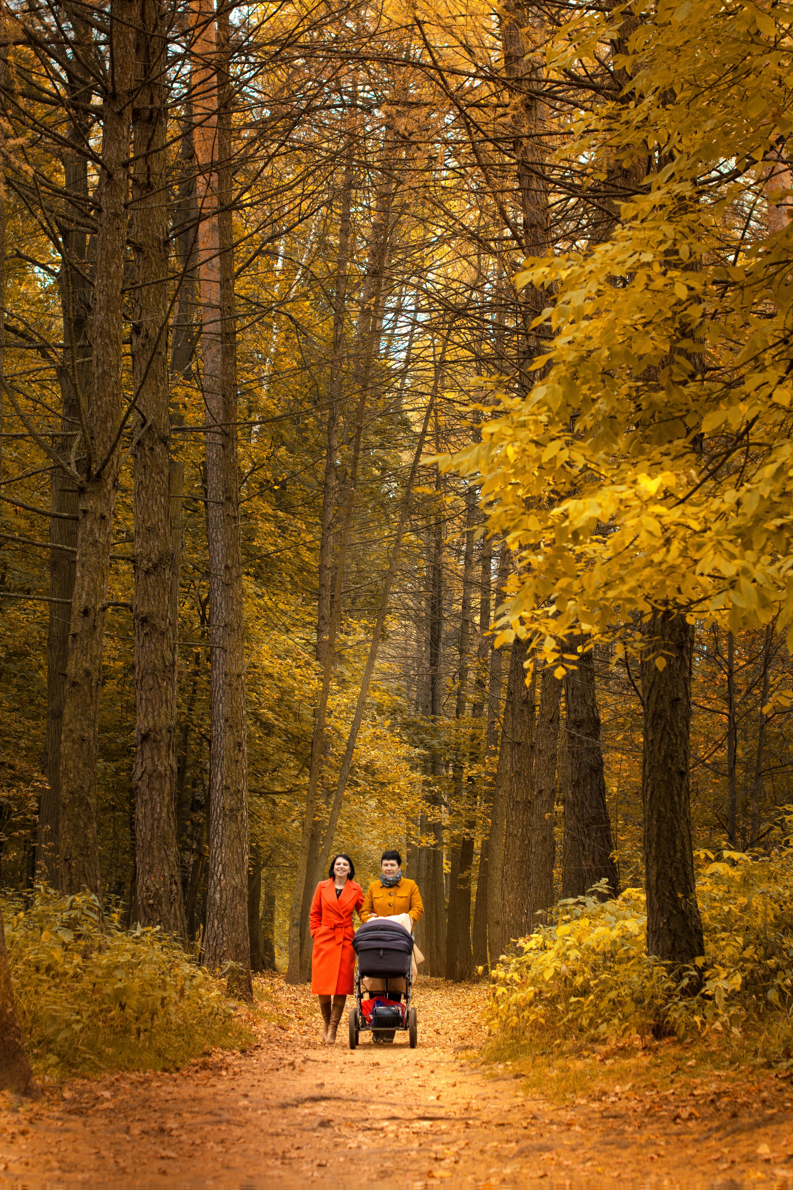 Осень в парке Измайлово. Фотосессия для Анны. Фотосессия беременности — Крылова Натали — Москва