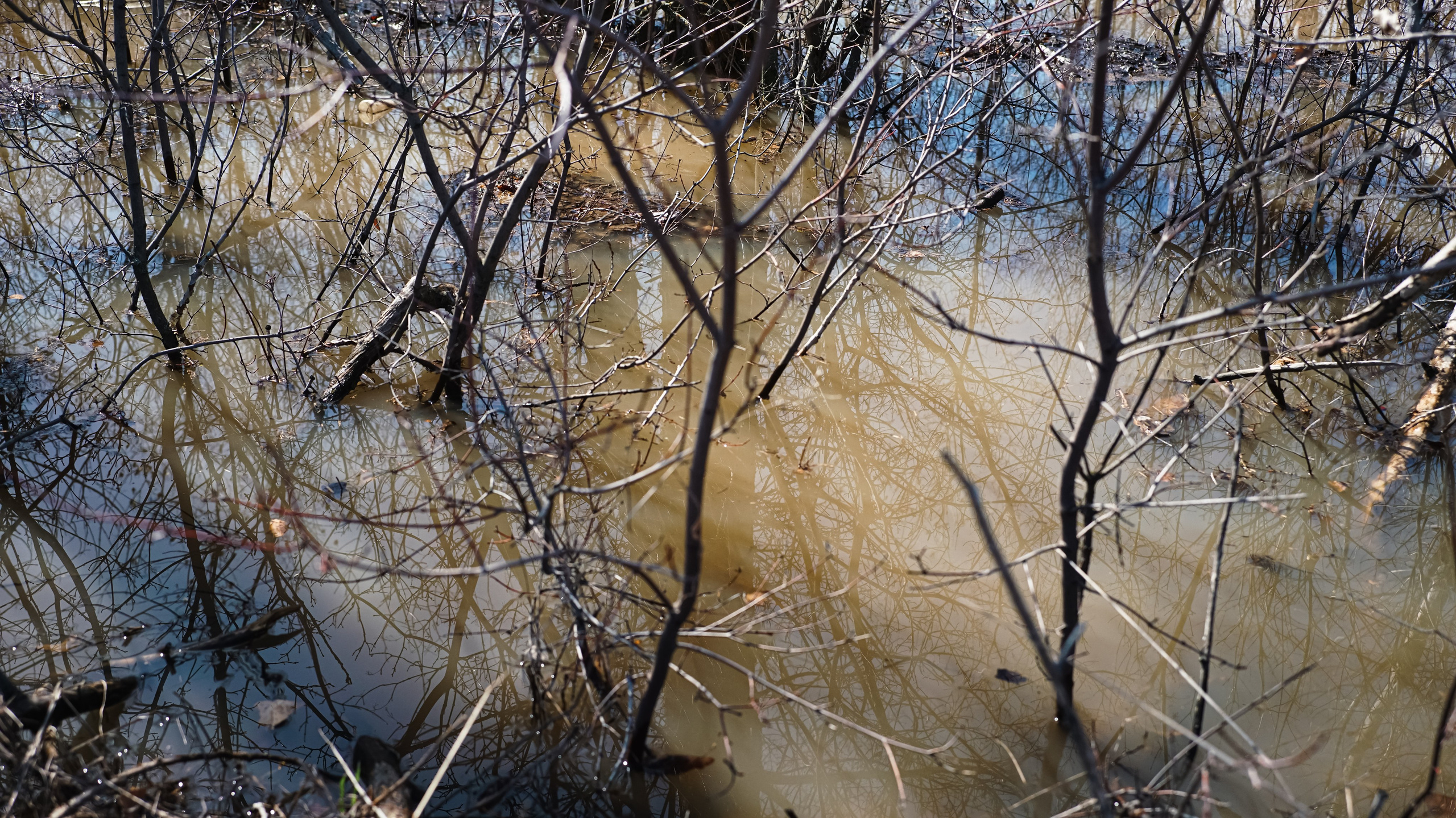 Submerged conflicts. Documentary photographer, film maker and storyteller