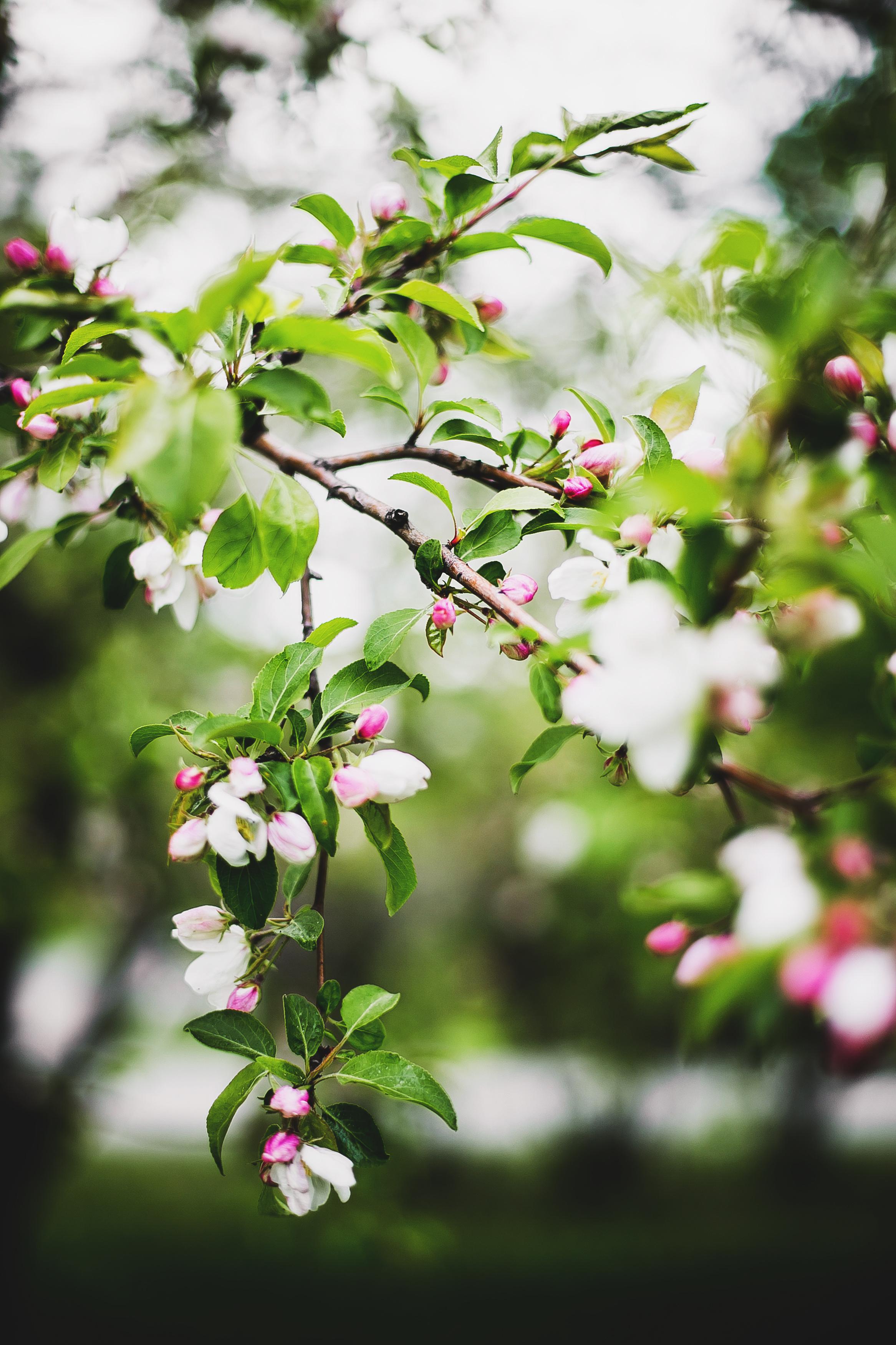 Ника и мама. Фотограф Полина Егорова город Тюмень
