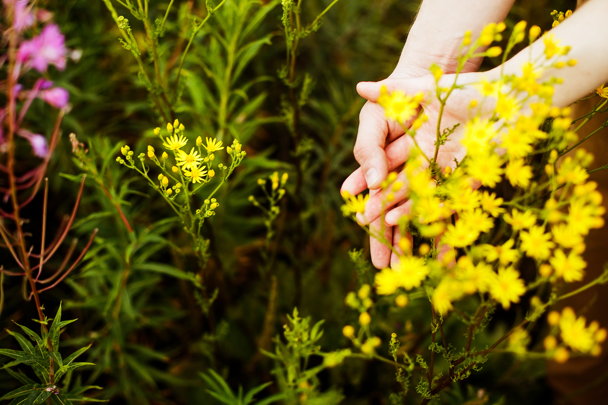 Денис и Лада. Фотограф Полина Егорова город Тюмень