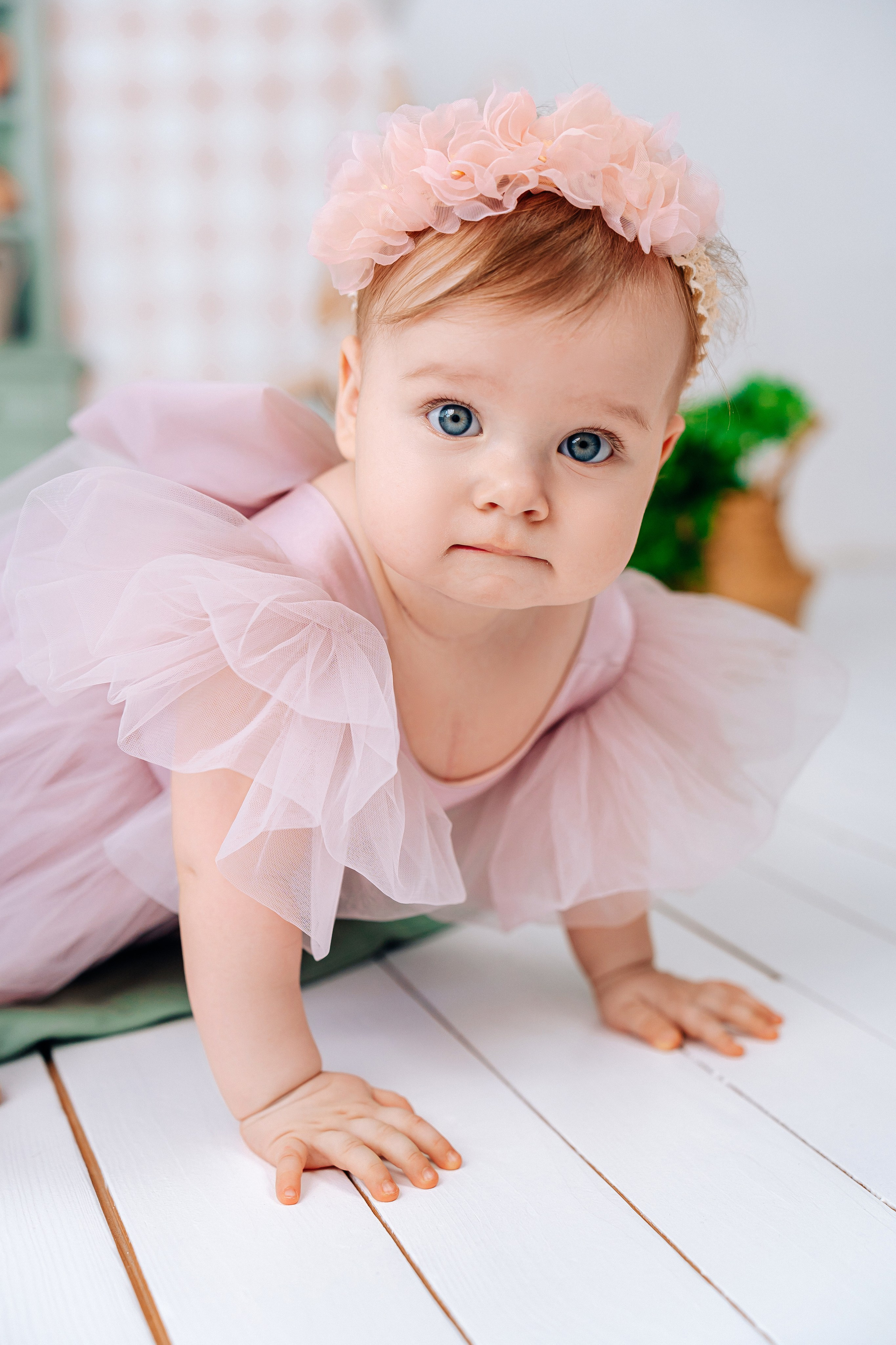 1 годик. «Лама» Детская фотостудия Уфа