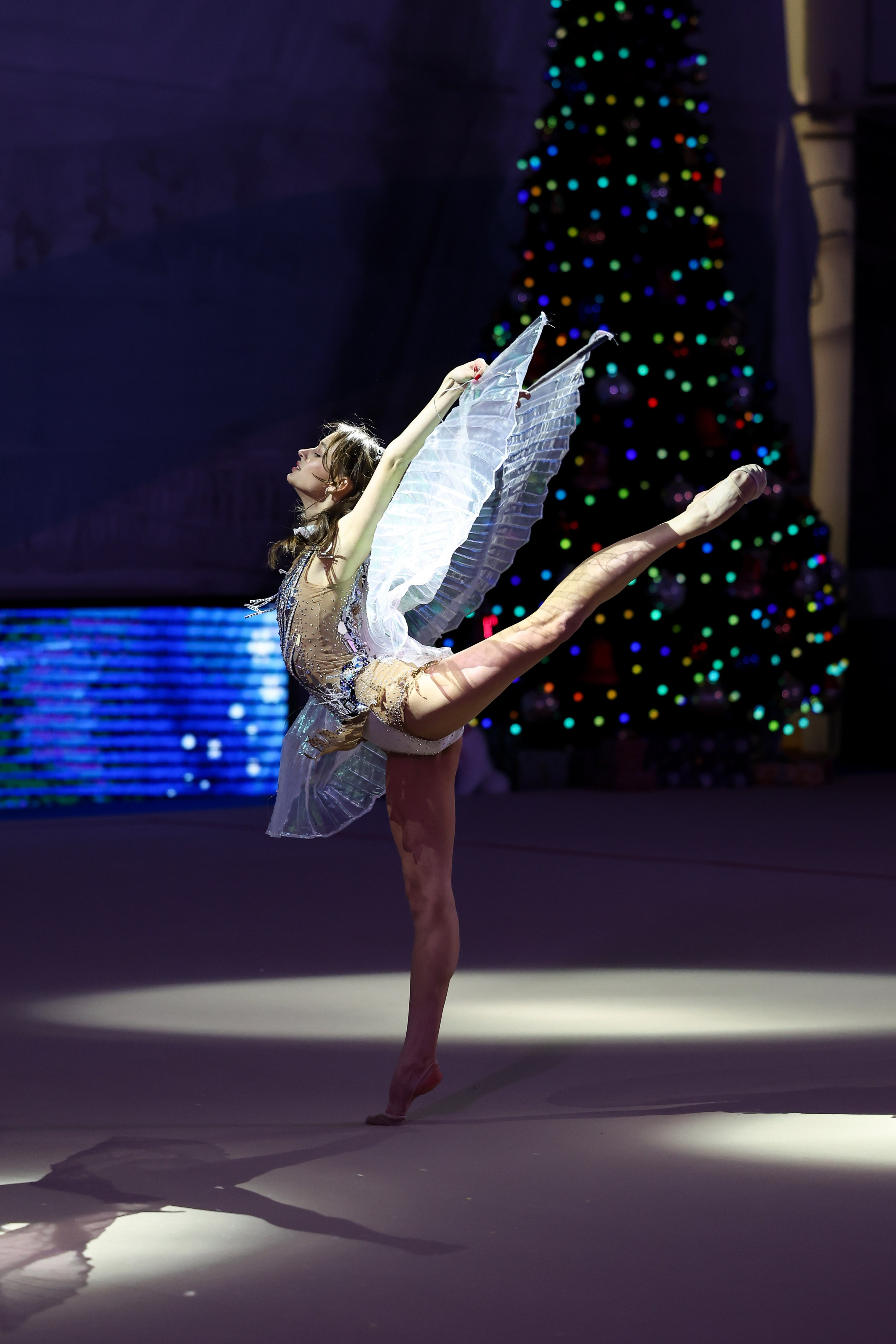 «Новогодняя сказка» 28 декабря 2023. Спортивный и репортажный фотограф Антон Тереханов