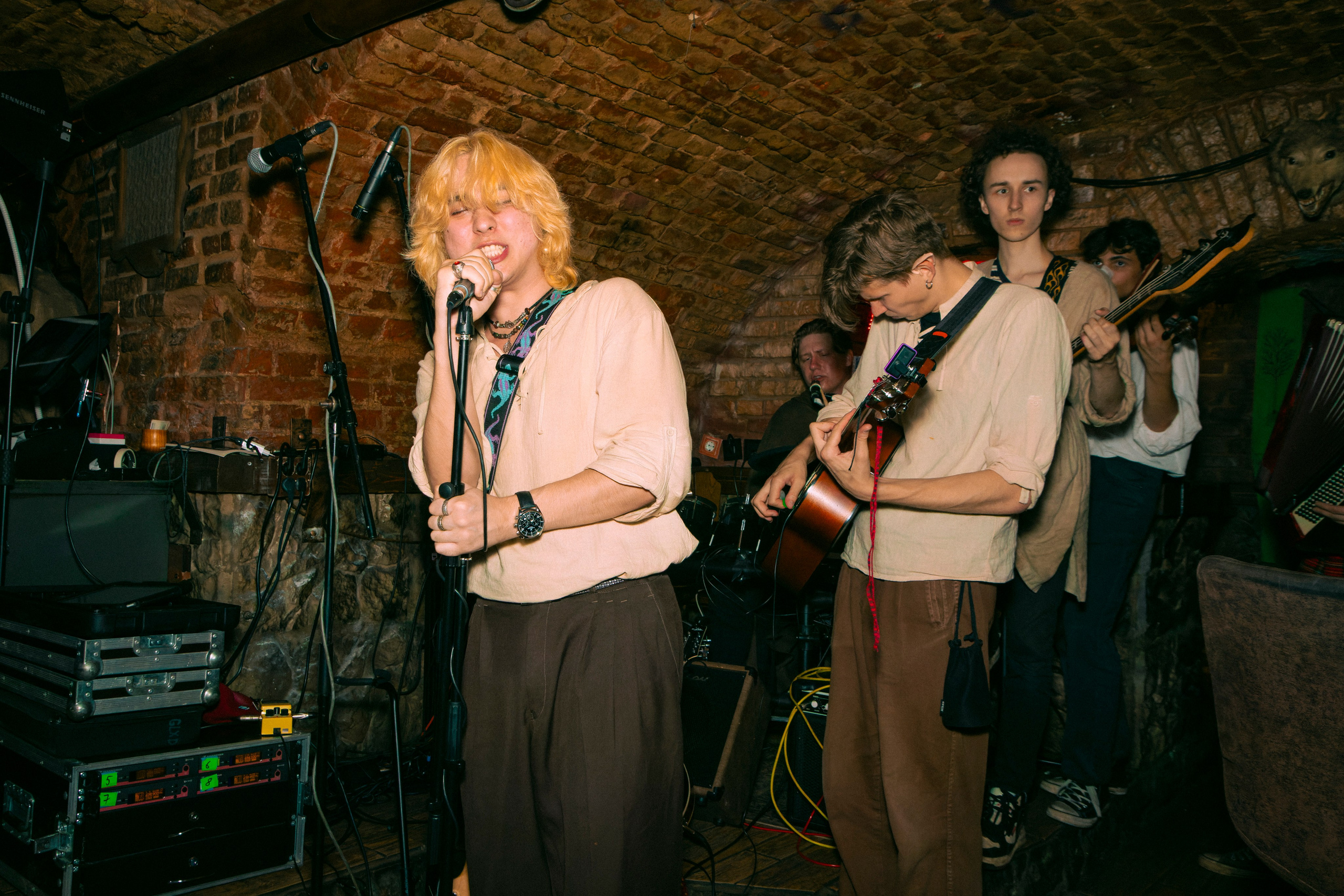 Таверна «Белый волк». Плак или Квак