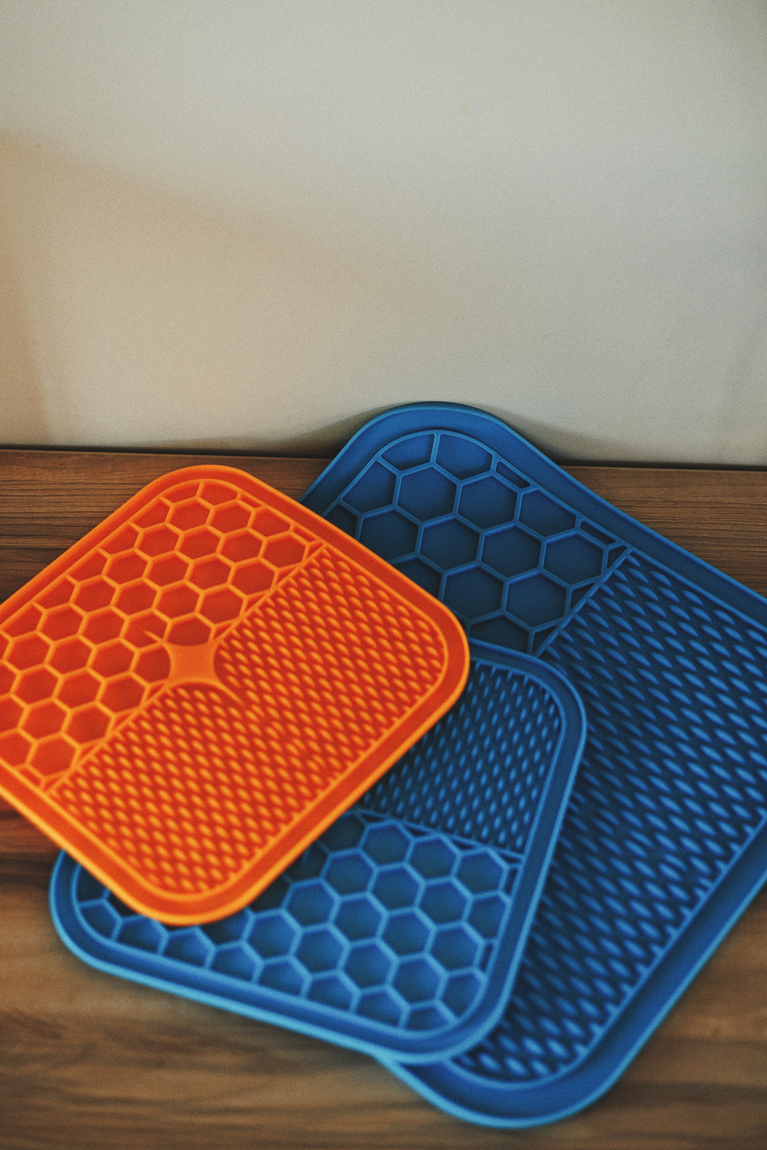 M-Pets. Фотограф анималист Осипчикова Мария