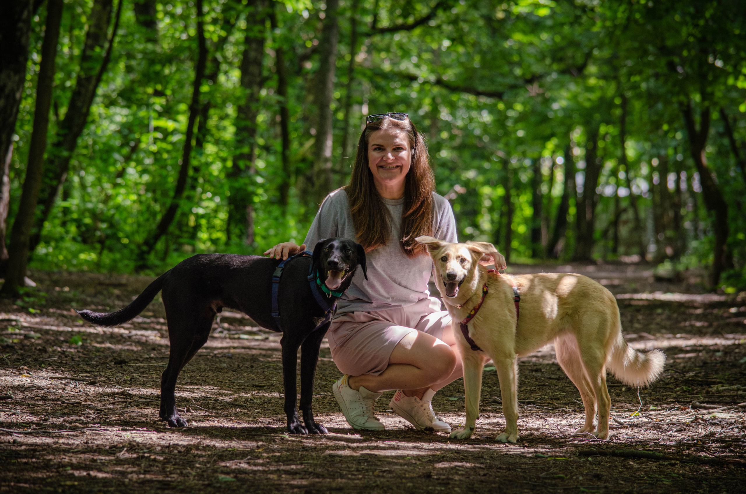 Мира и Барон. Фотограф Светлана Блинова, Москва и Московская область
