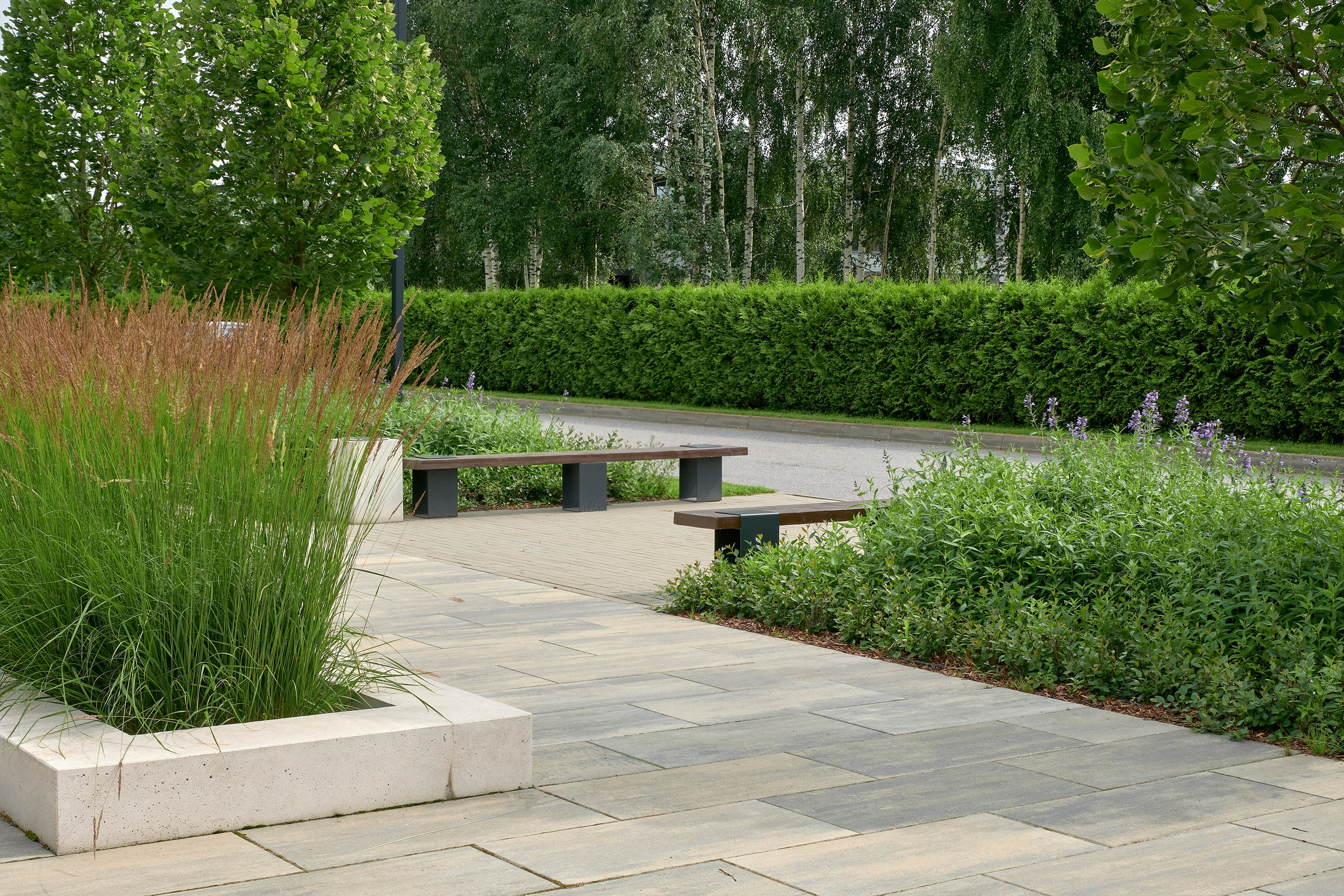 Ландшафтный и интерьерный фотограф Наталья Соловьева. Фотосъемка озеленения территории в КП Репинская Усадьба-4 для ландшафтной студии Аквилегия | interioto